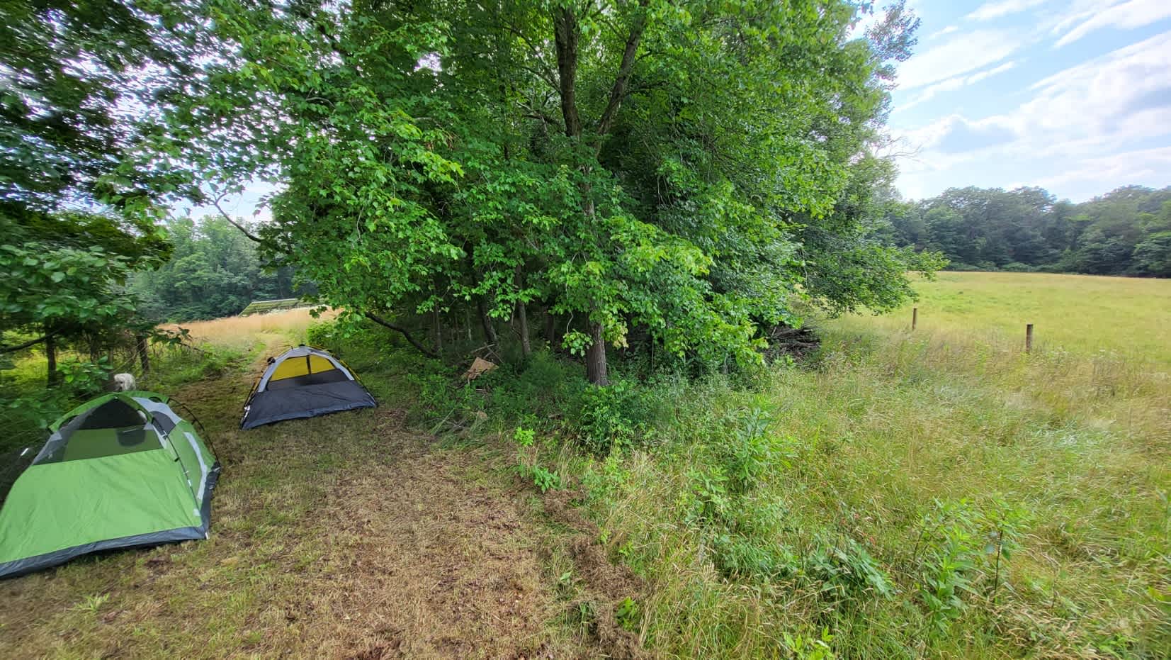 Picture of the site