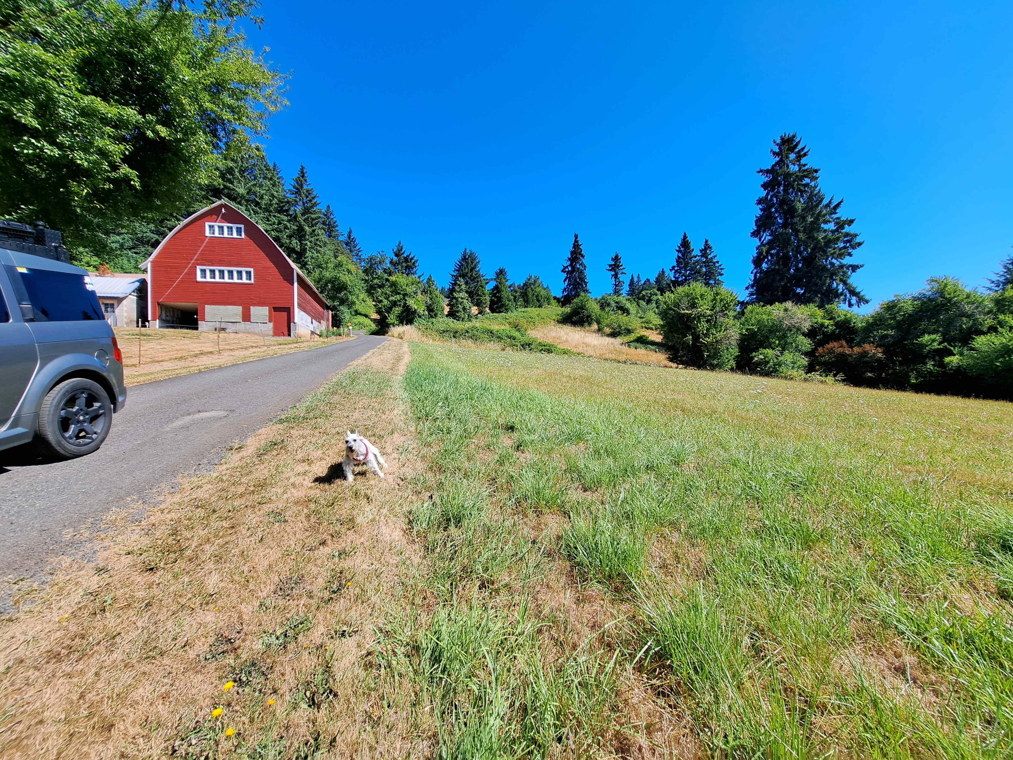 Picture of the site