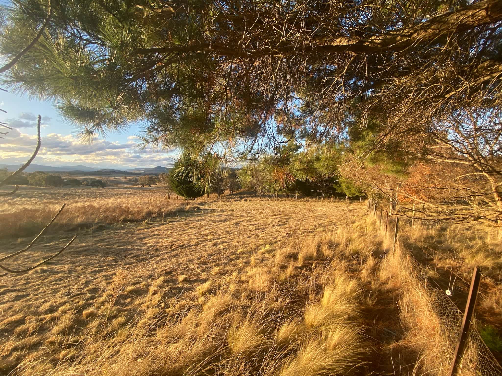Harros Hill, Jindabyne