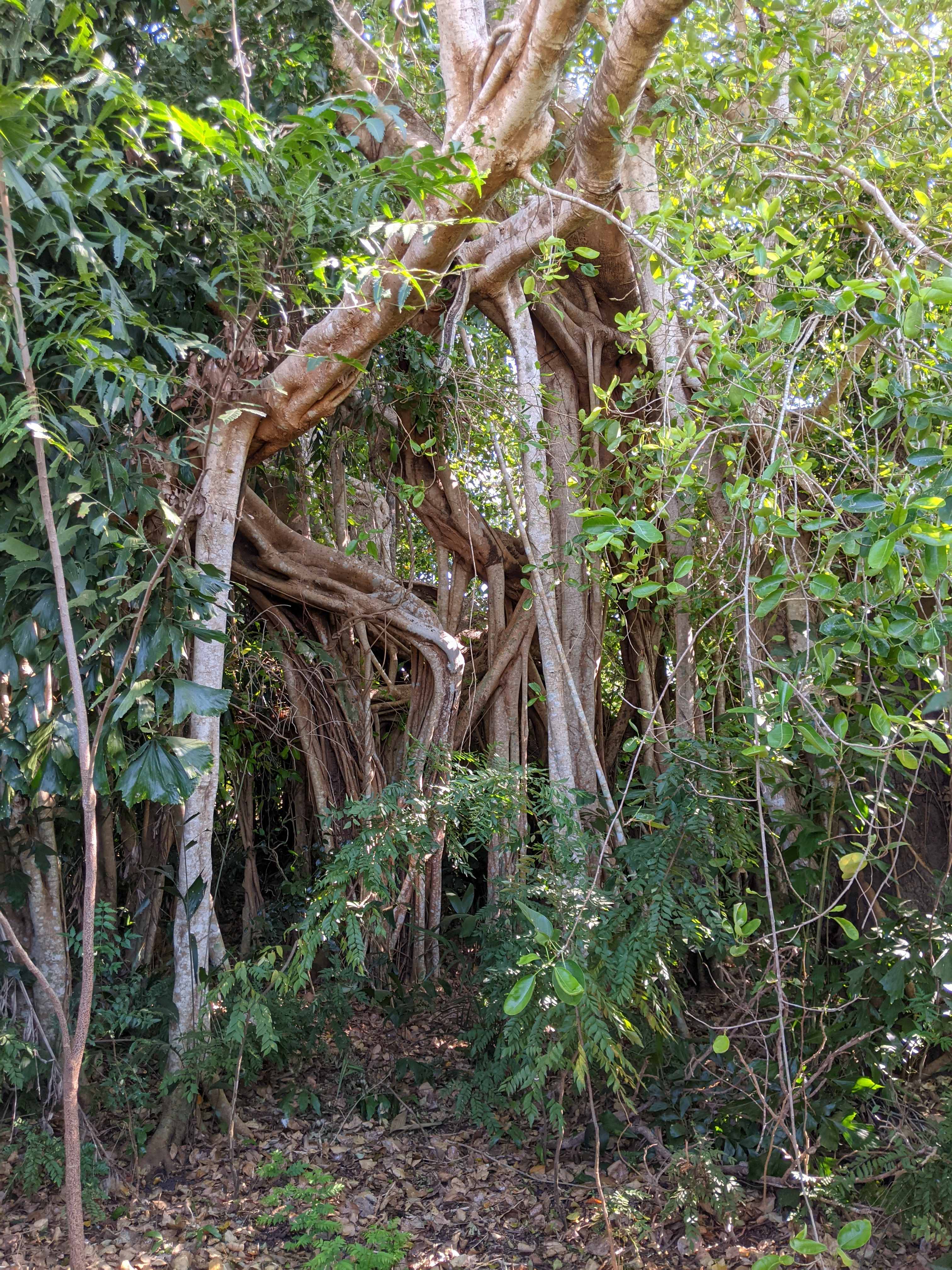 Howard River Park