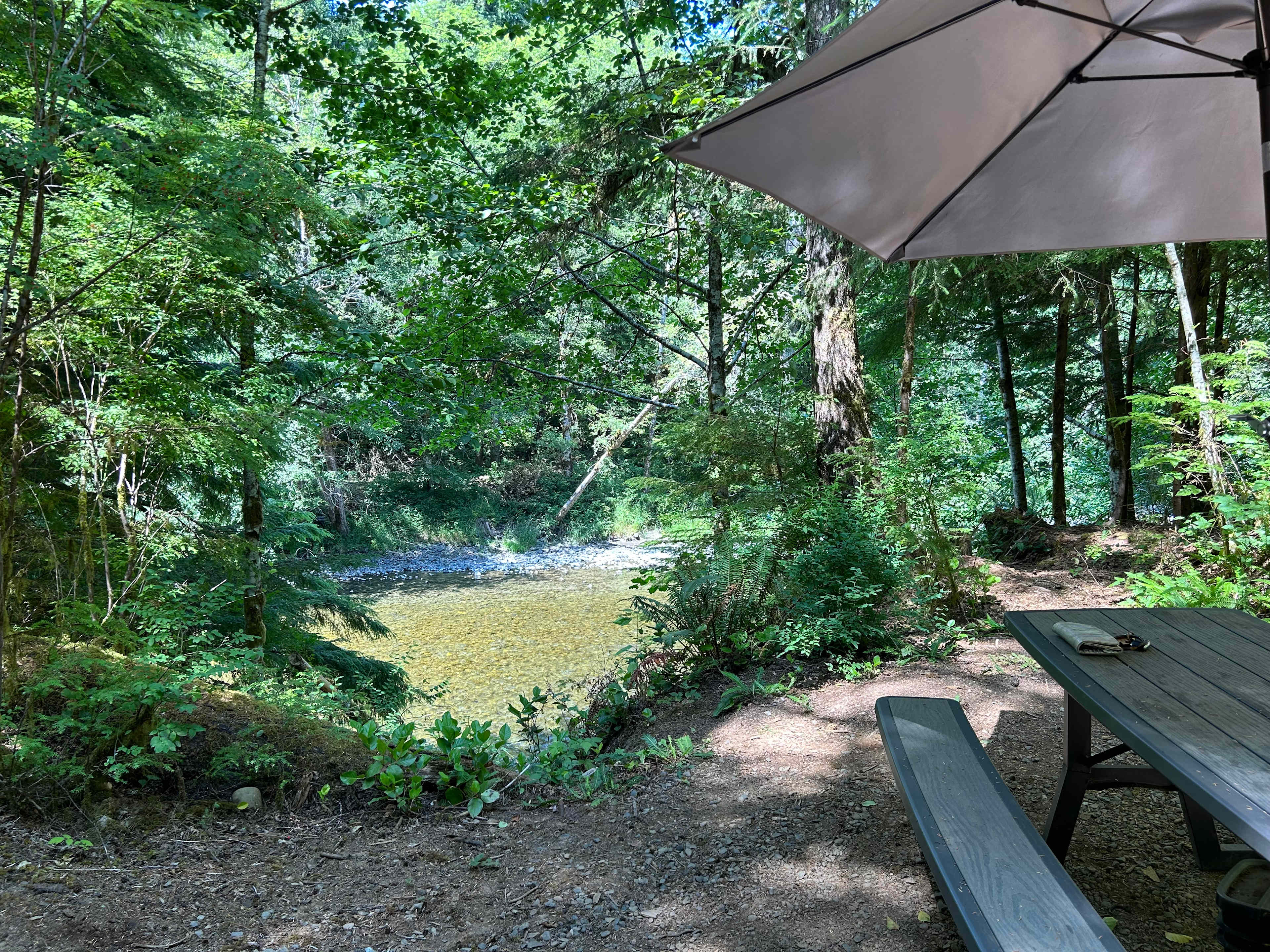 Dawleys SolDuc River Campground