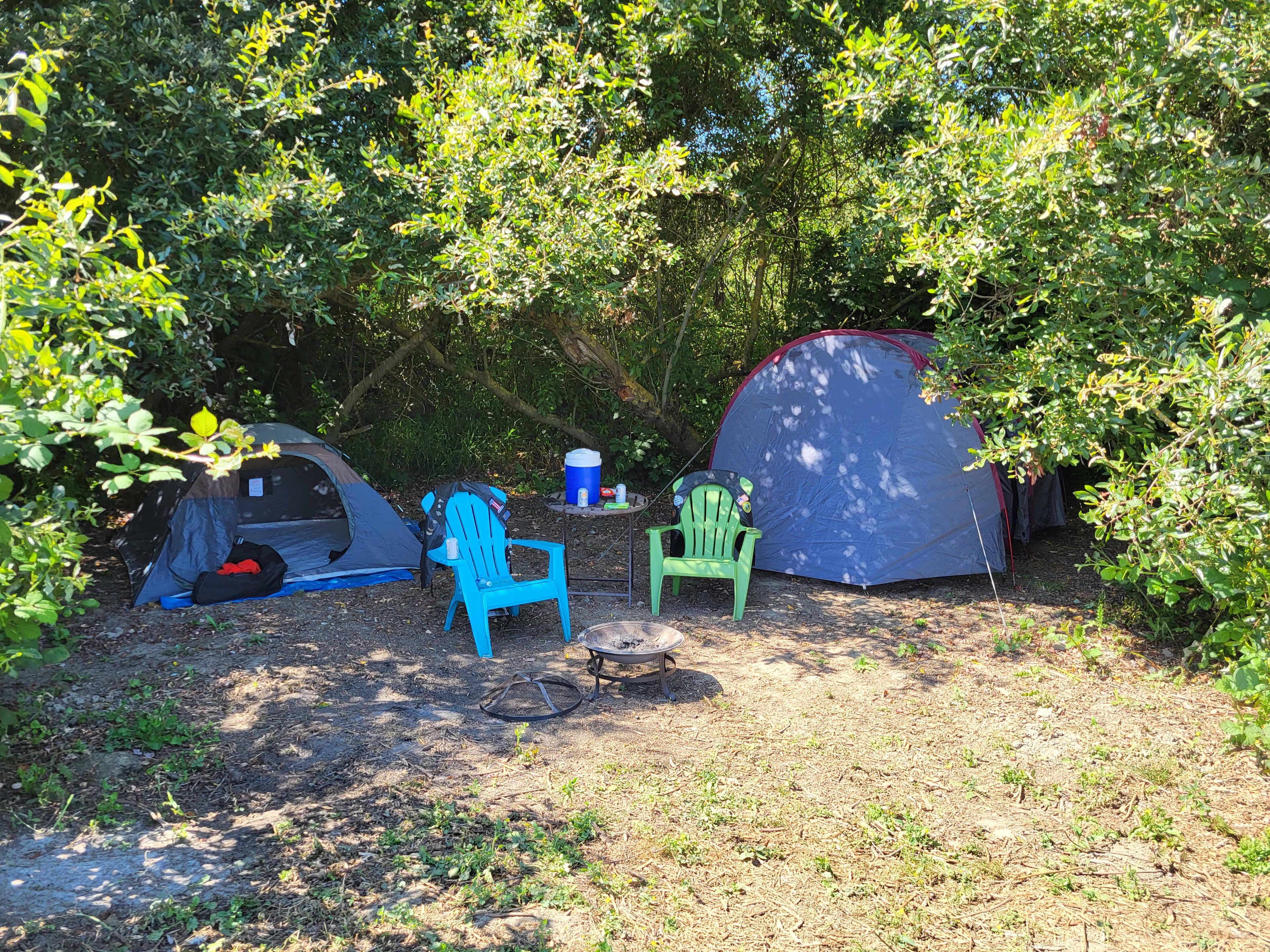 Picture of the site