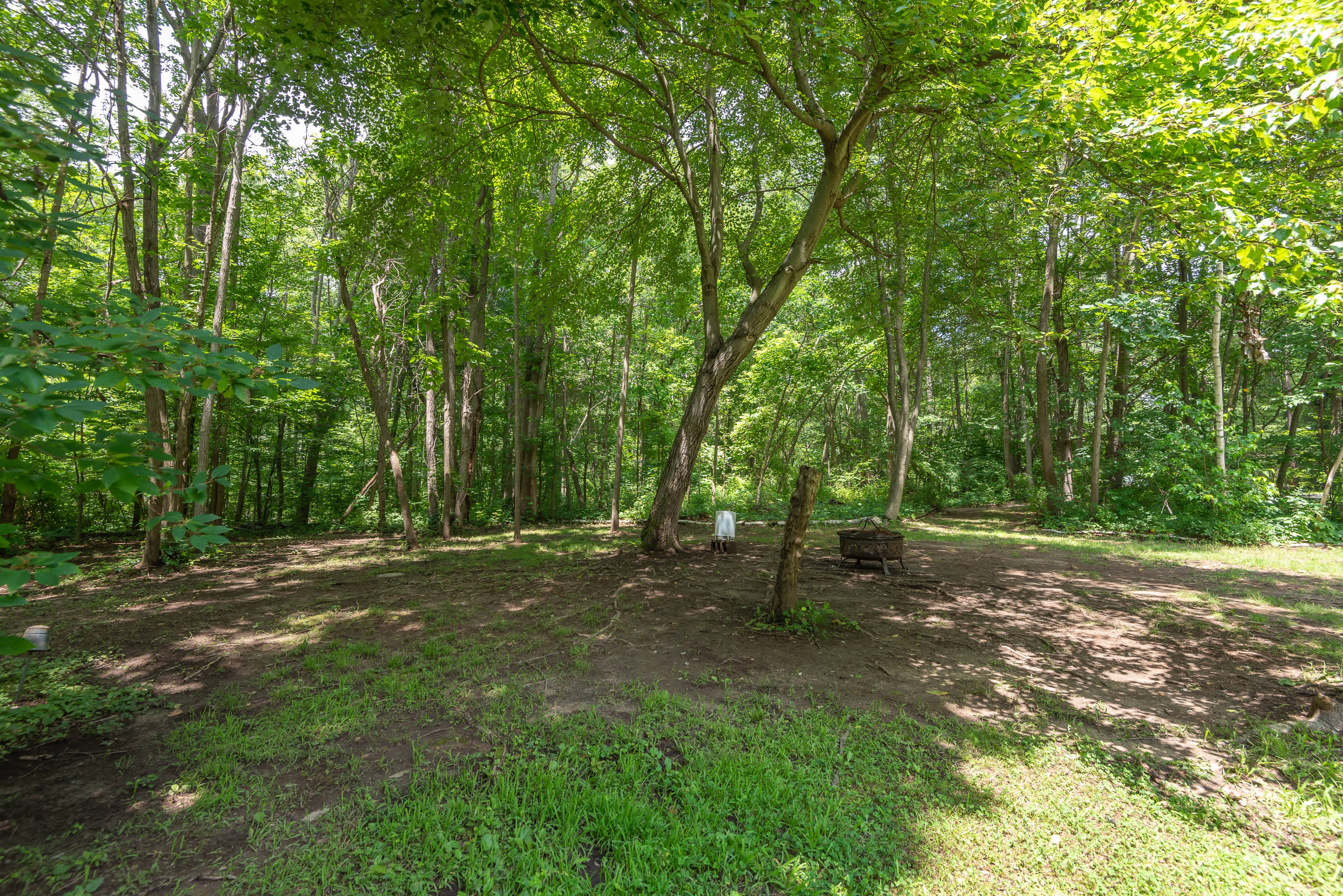 Site 4.