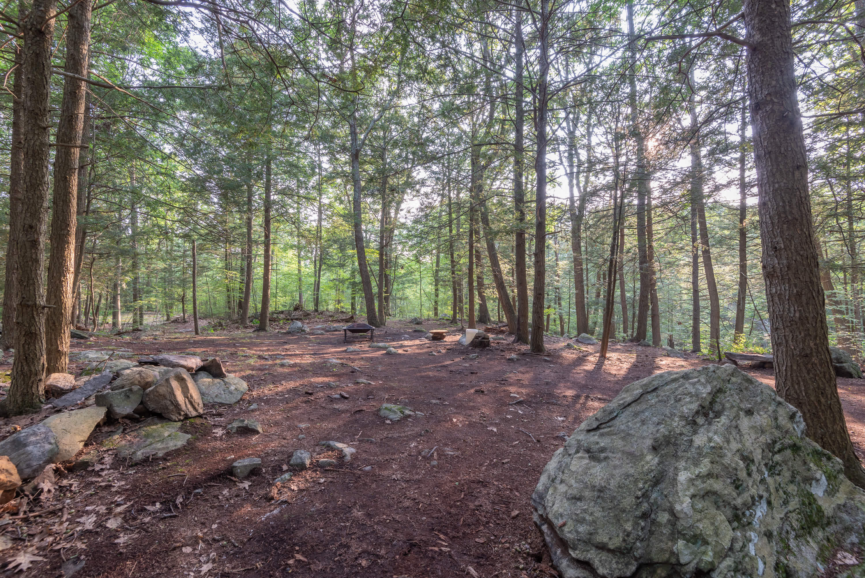 Picture of the site