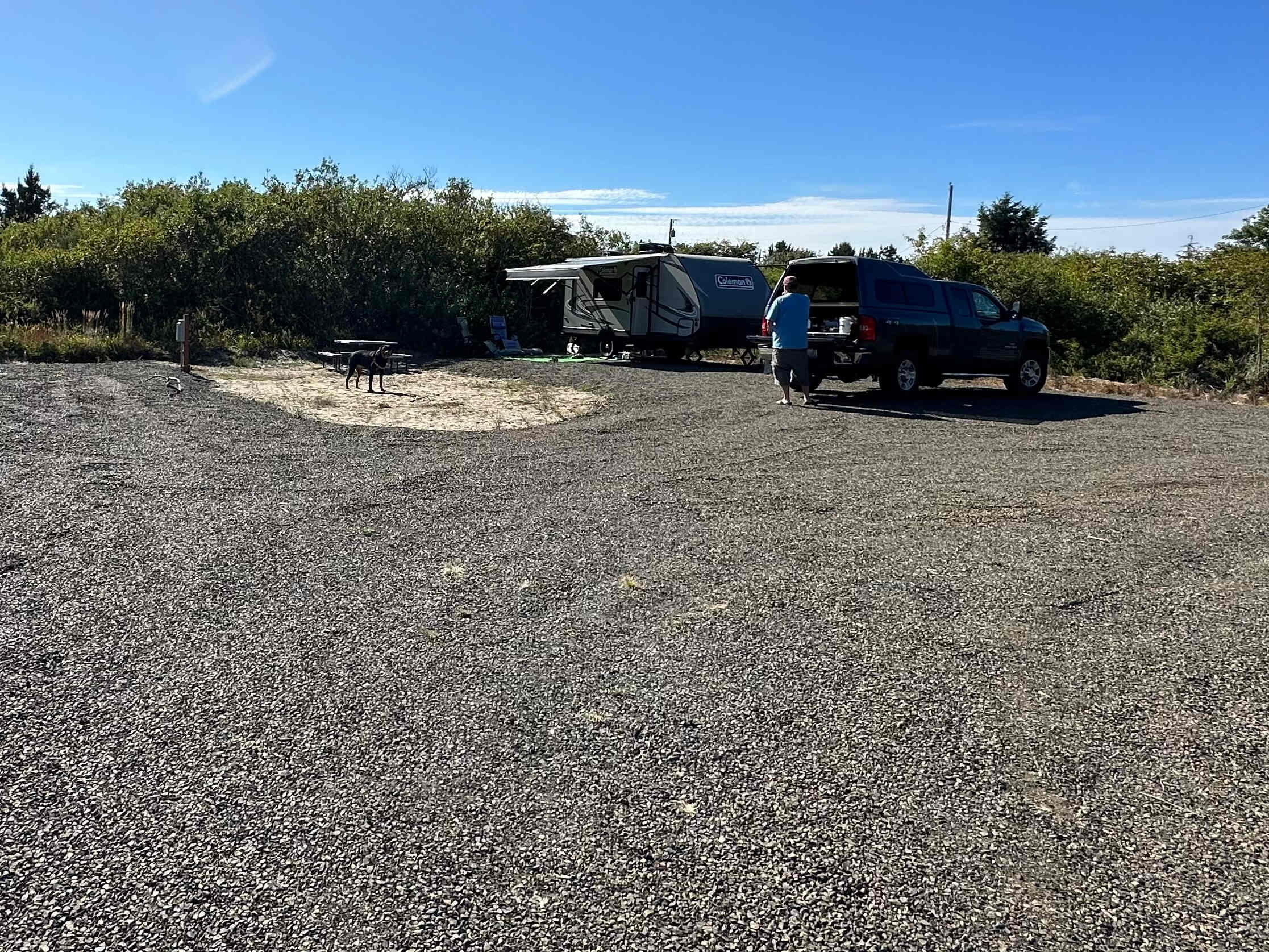 Picture of the site