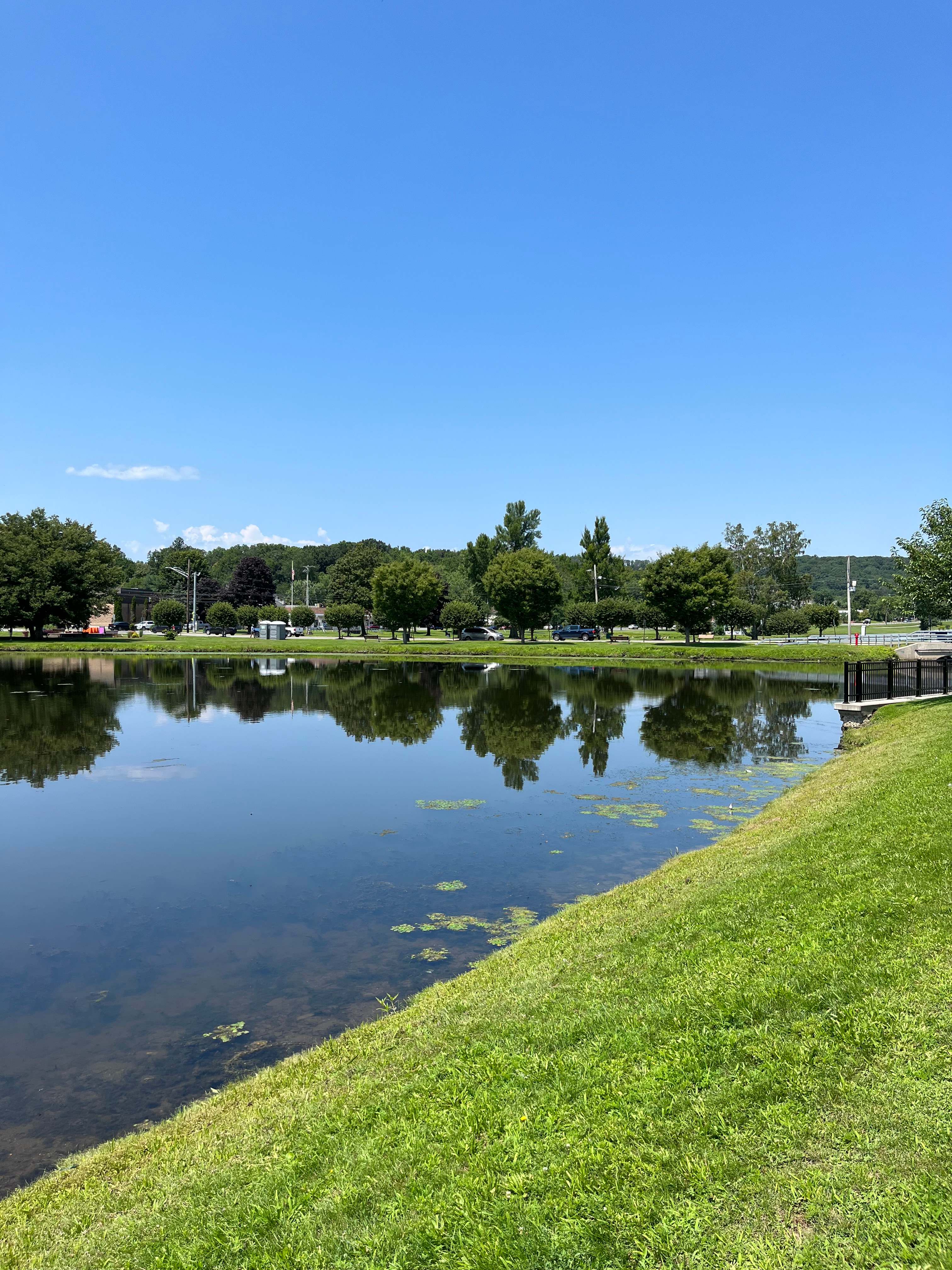 Picture of the site