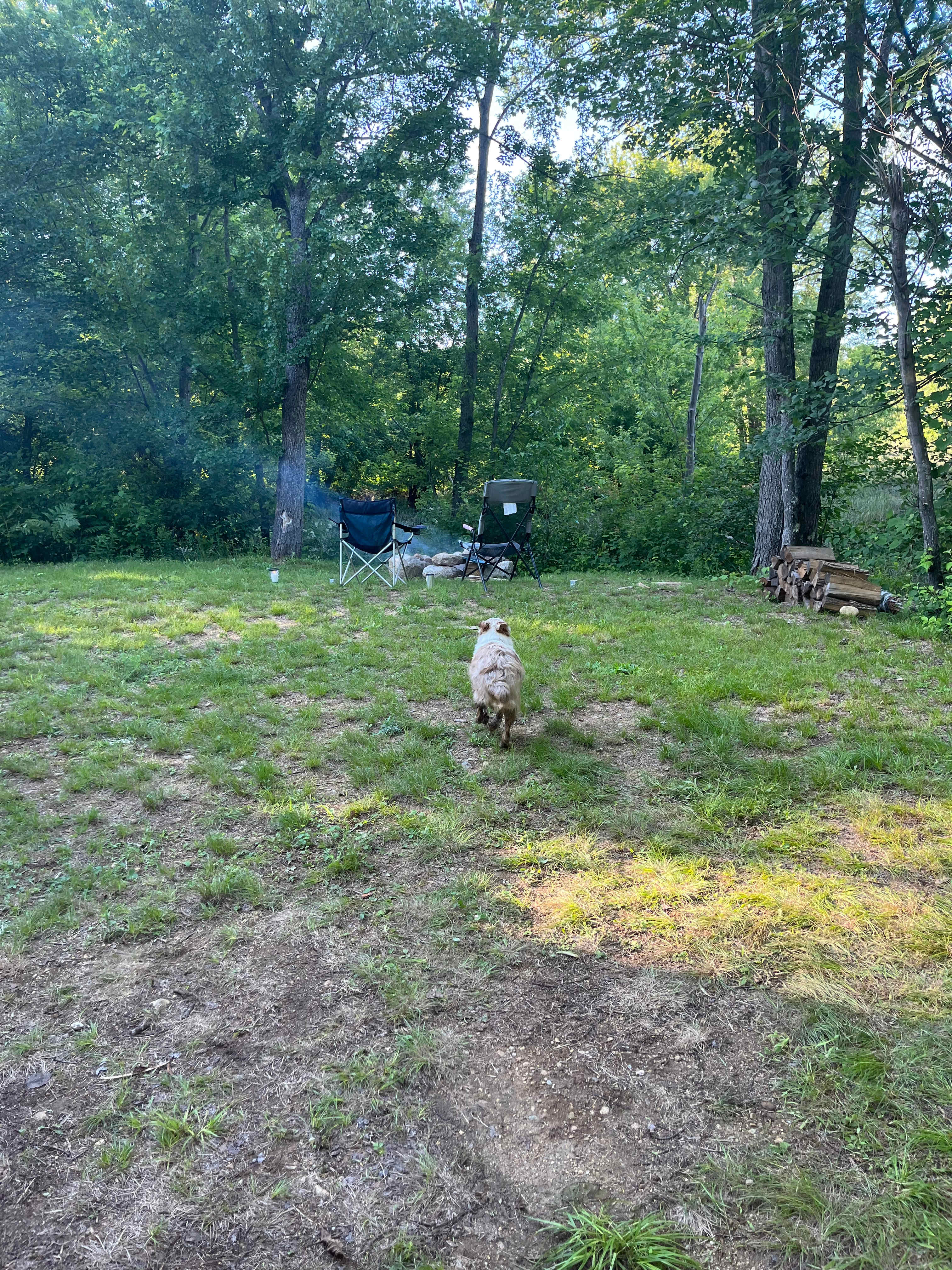 Picture of the site