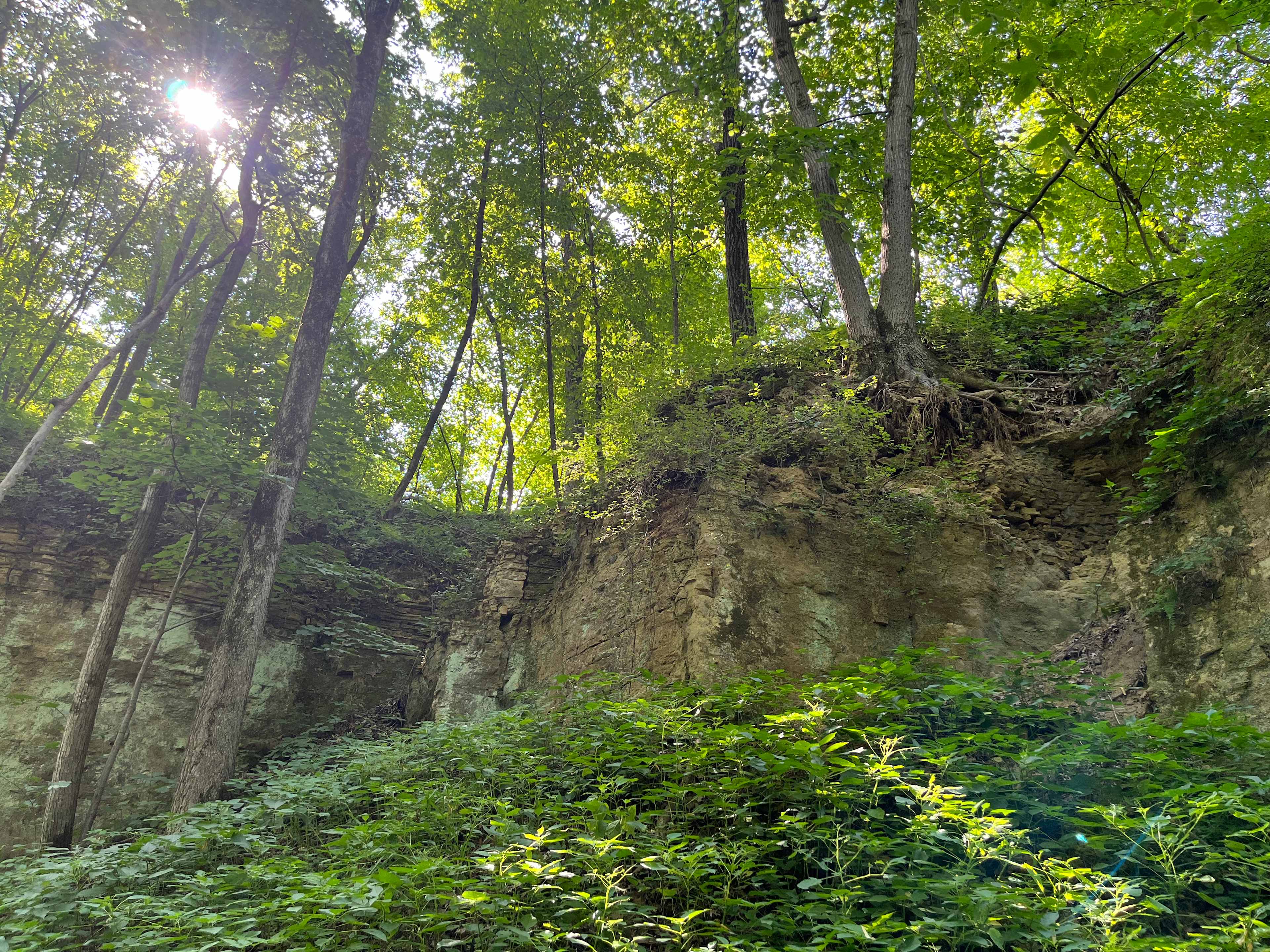 Picture of the site