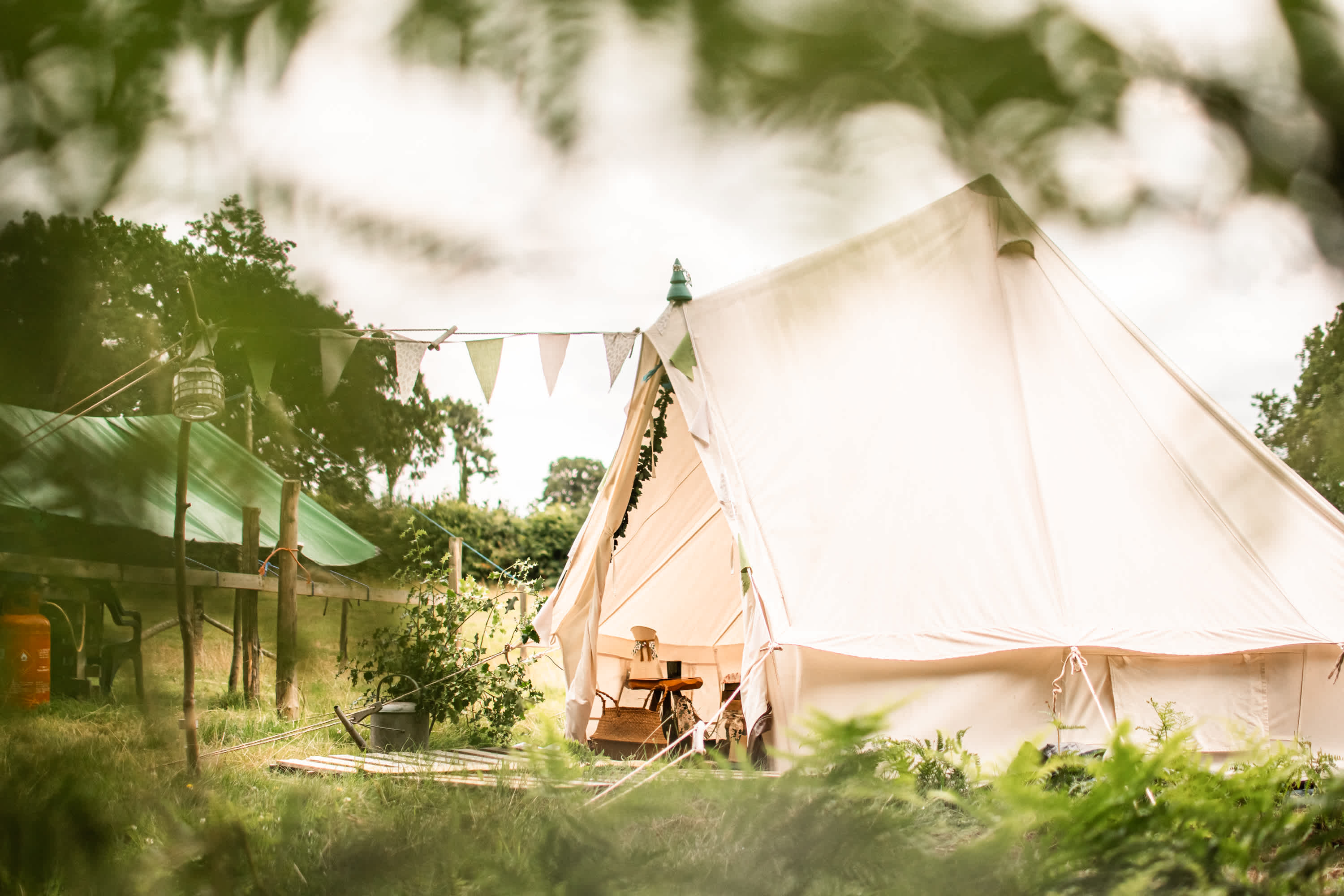 Holly bush tent site