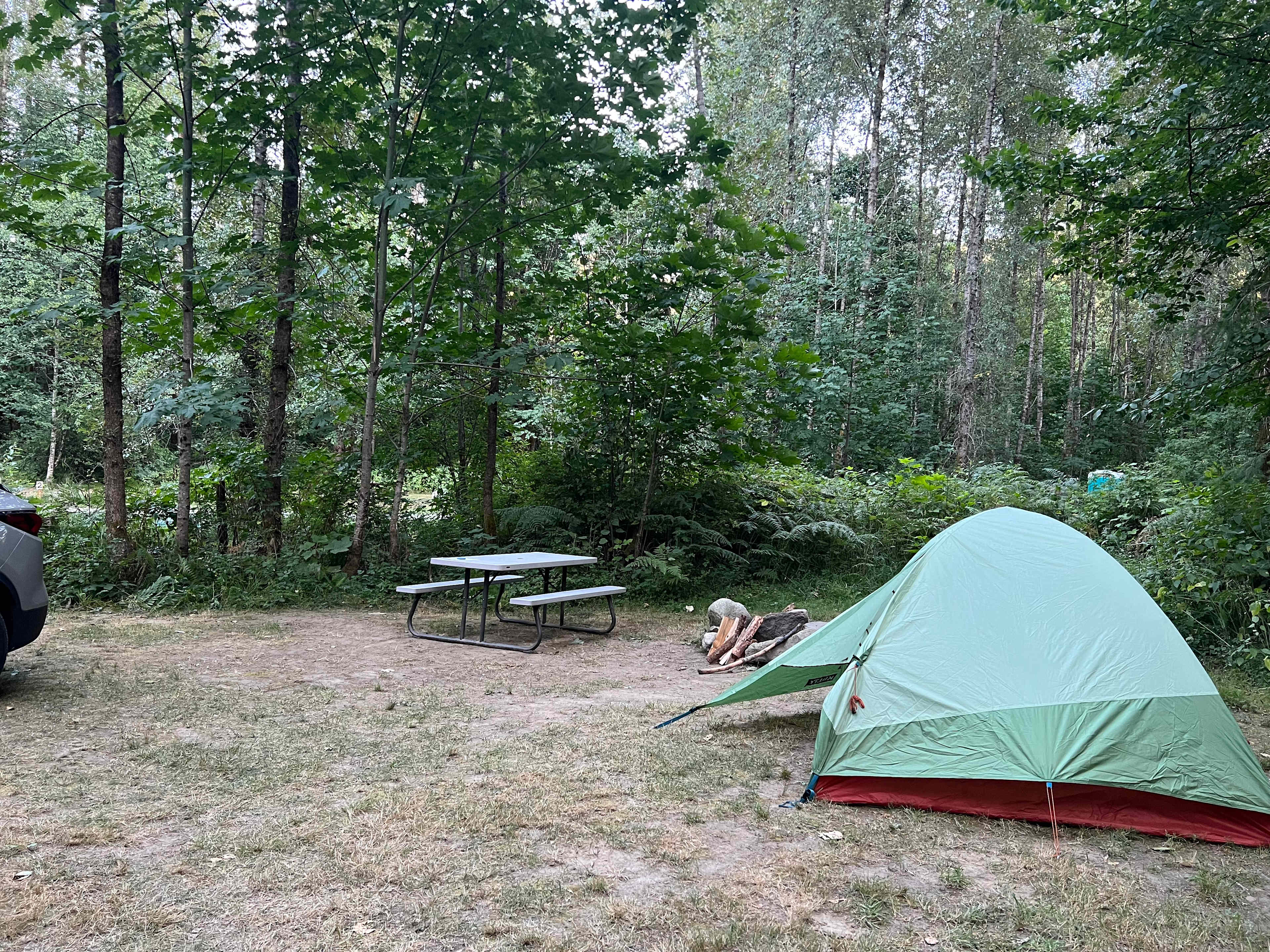 Picture of the site