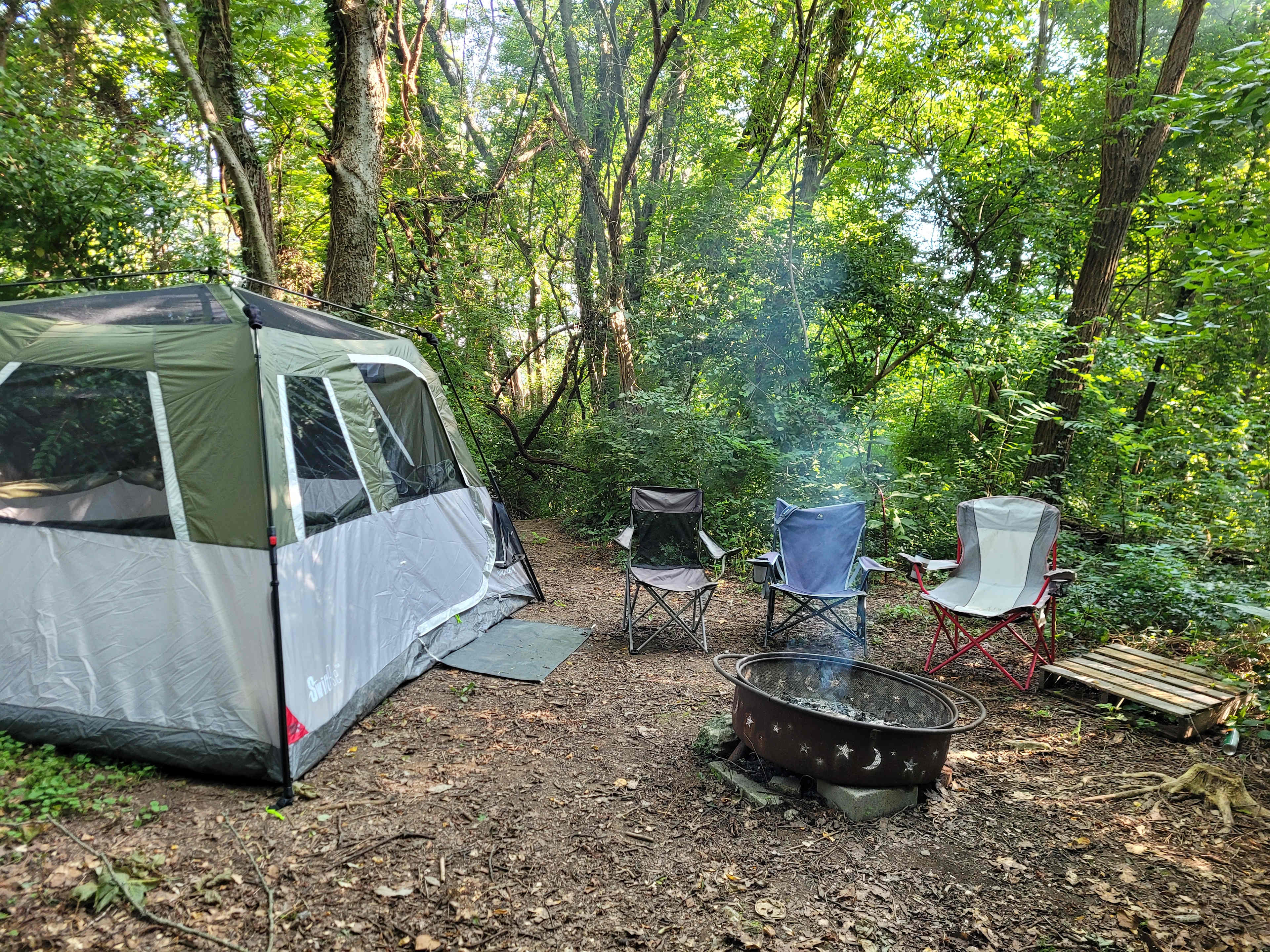 Forest Pocket near Chattanooga
