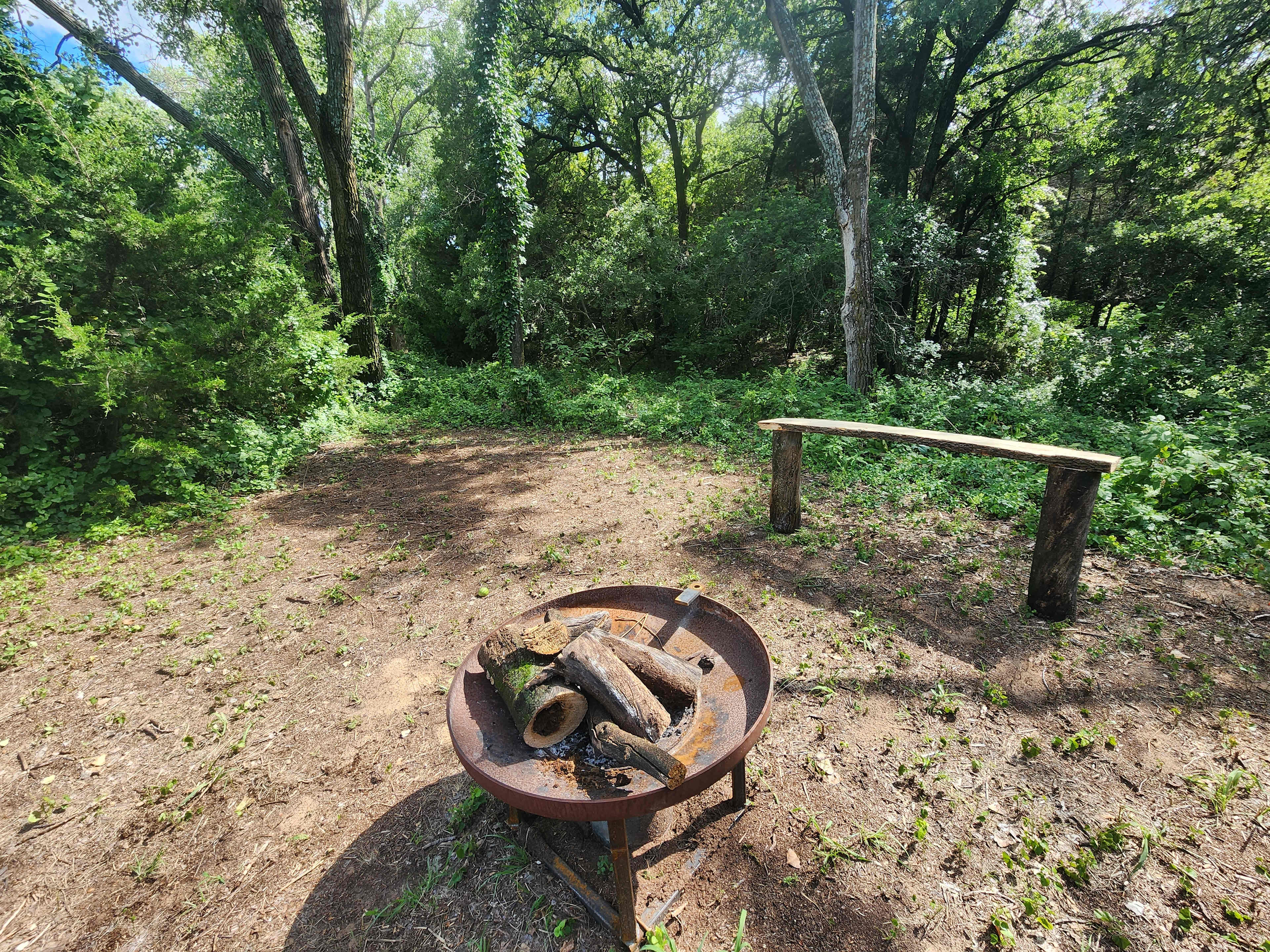 Picture of the site