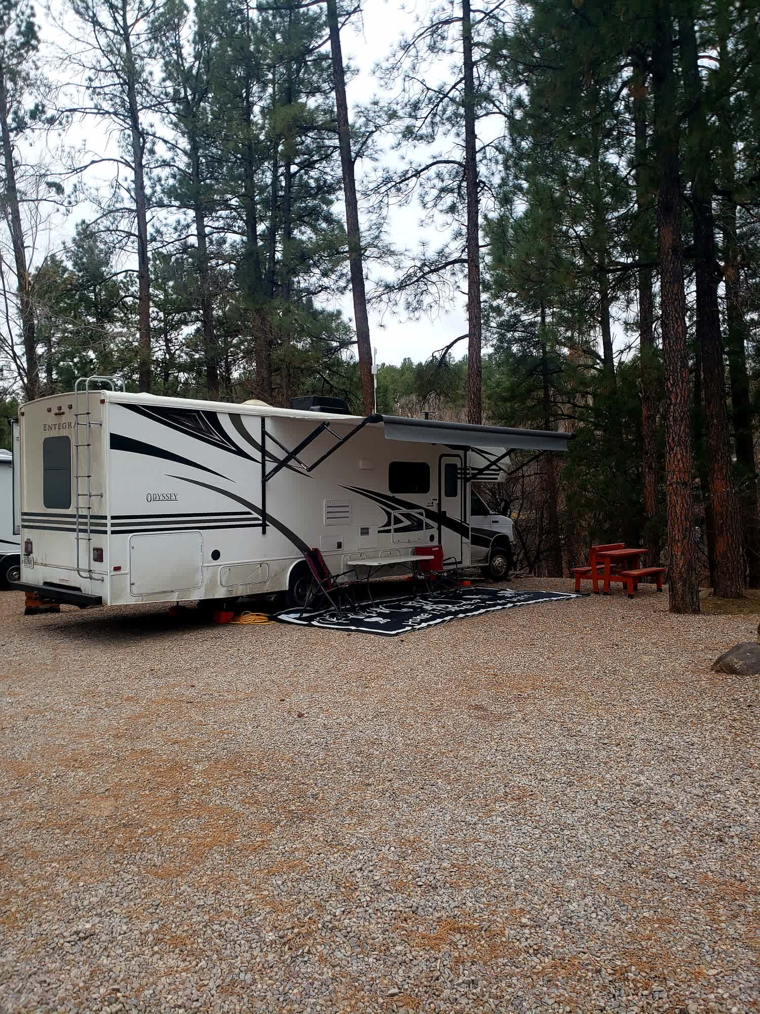Picture of the site