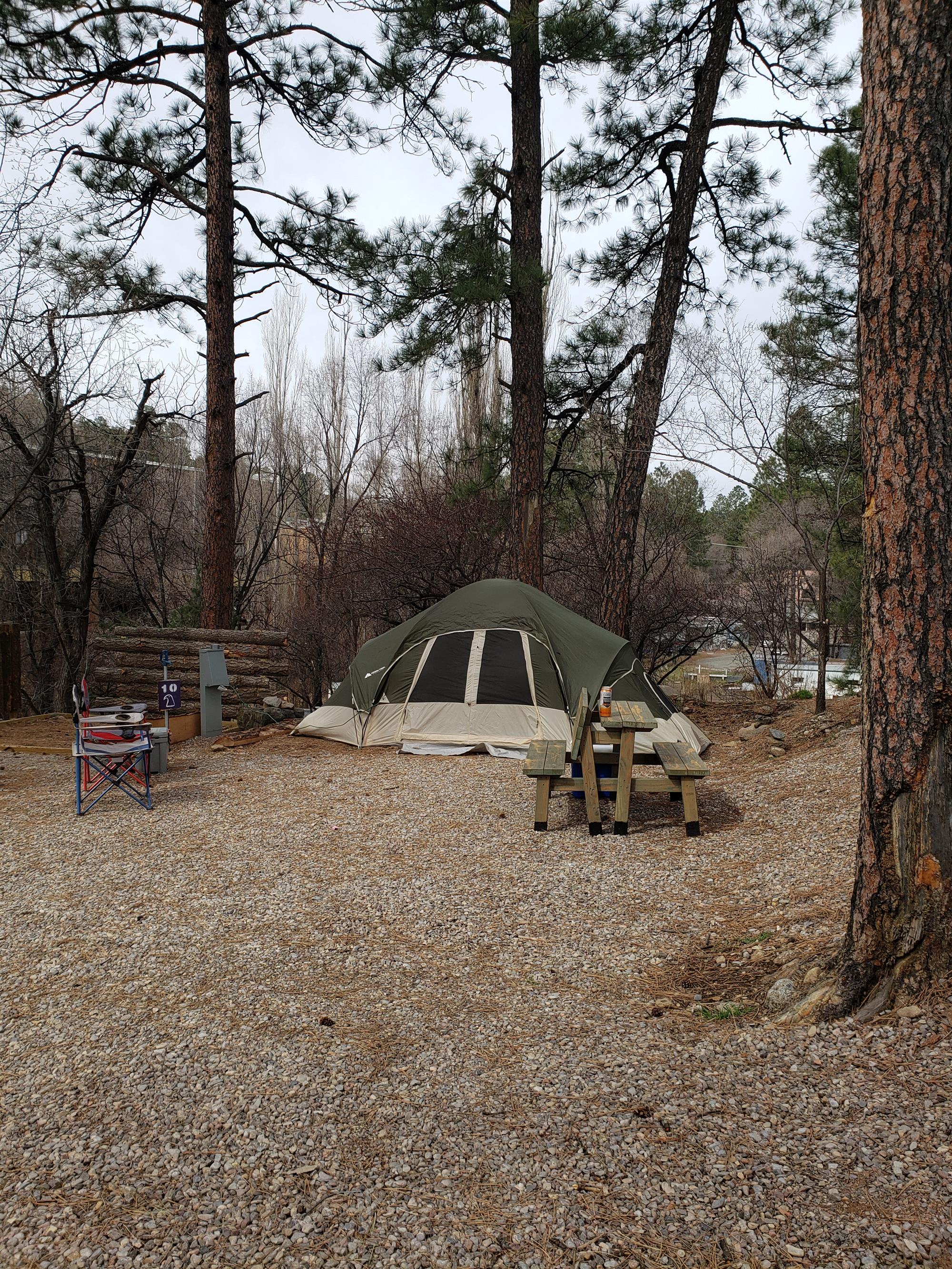 Picture of the site
