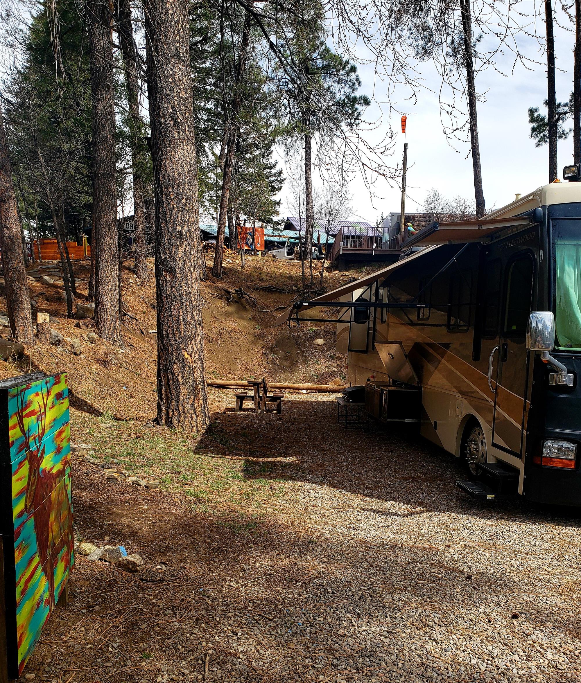 Picture of the site