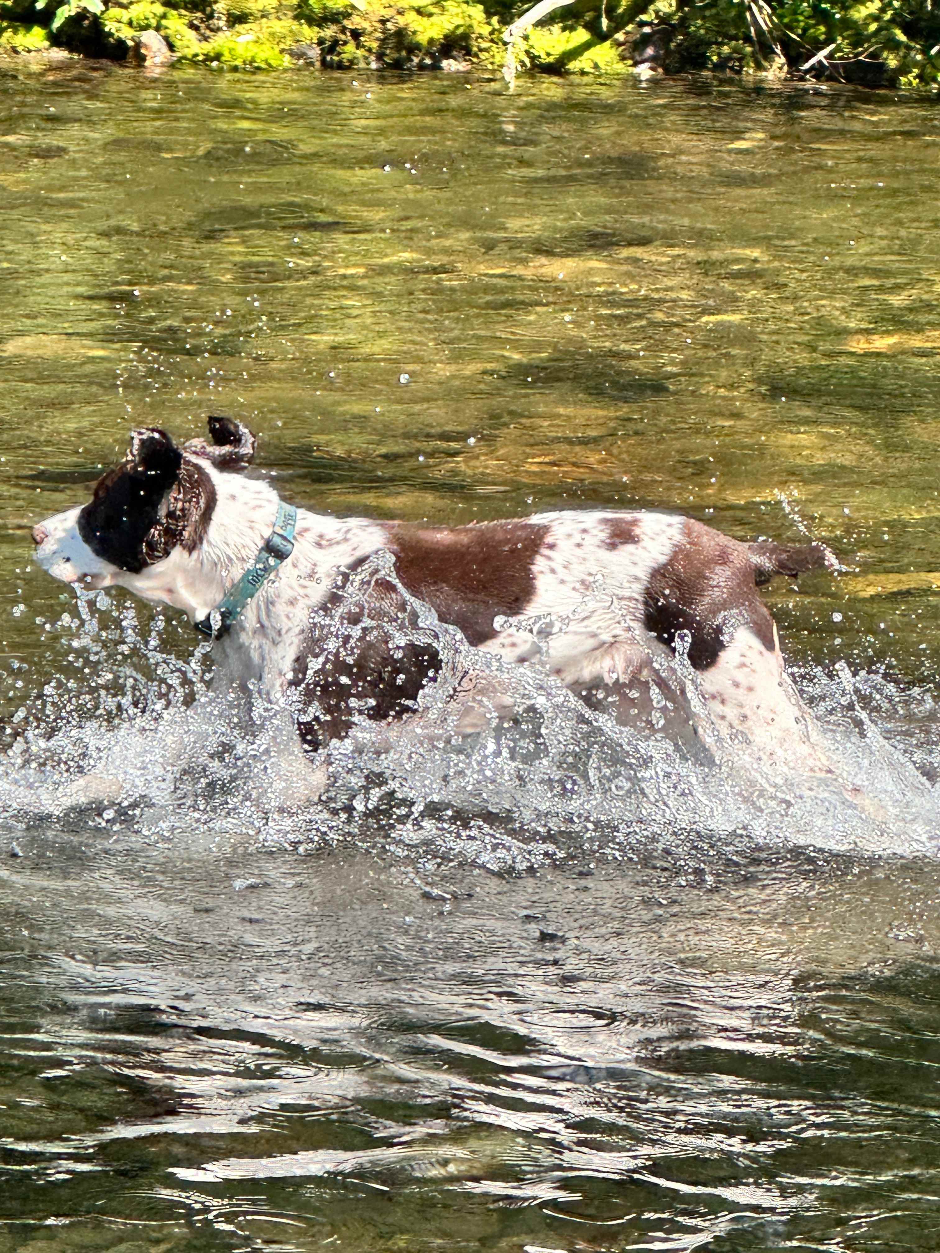 Abby enjoying her time 