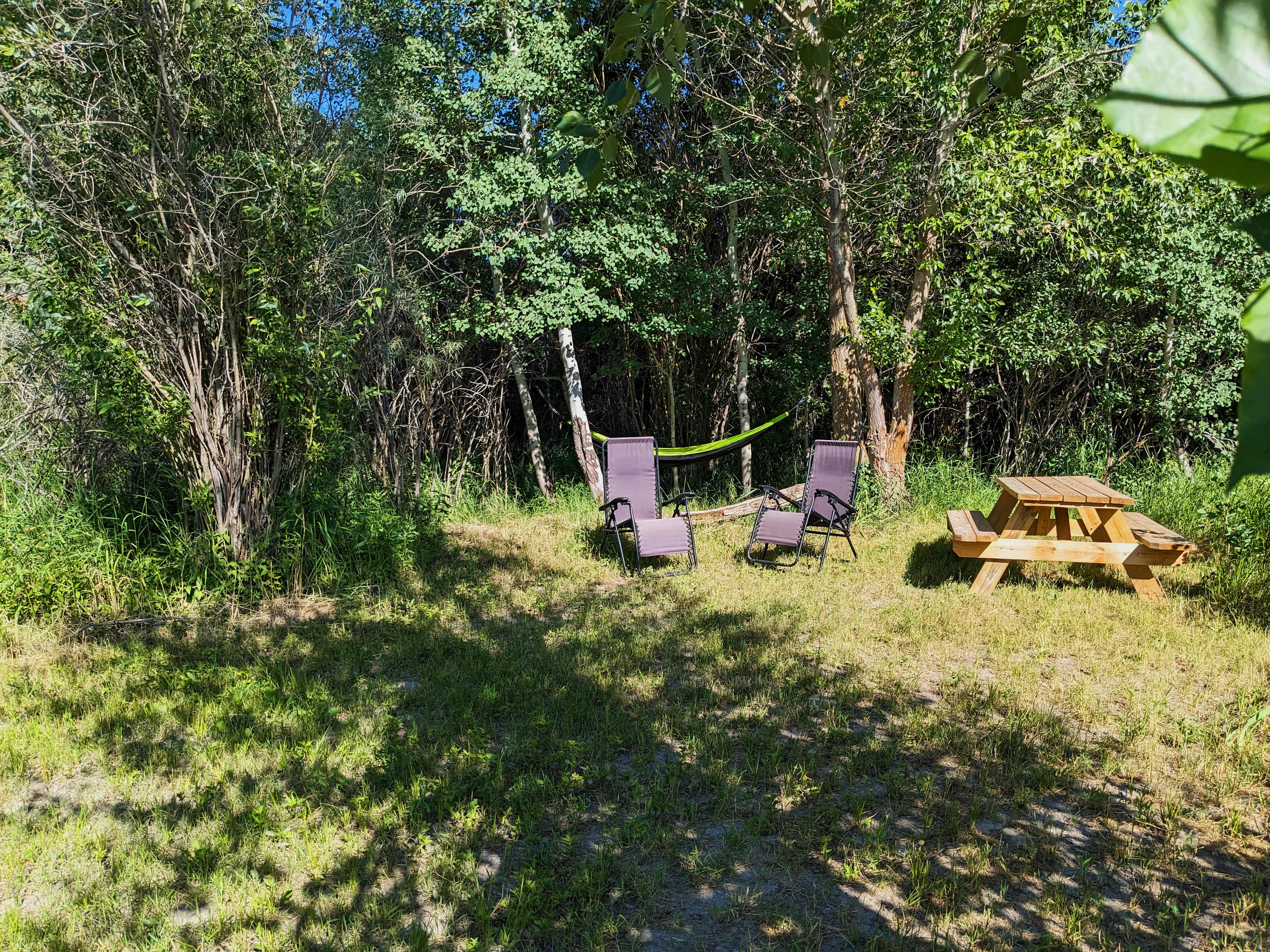 Picture of the site