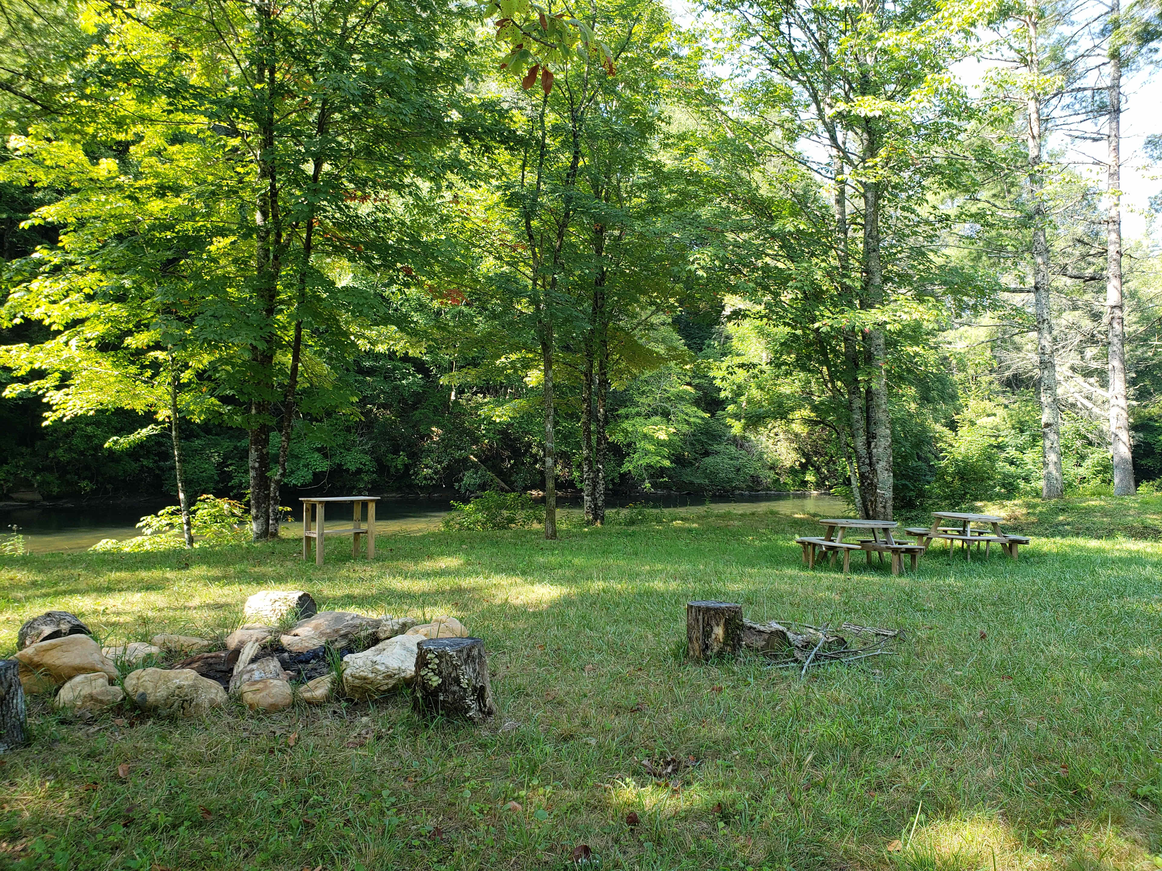 Picture of the site