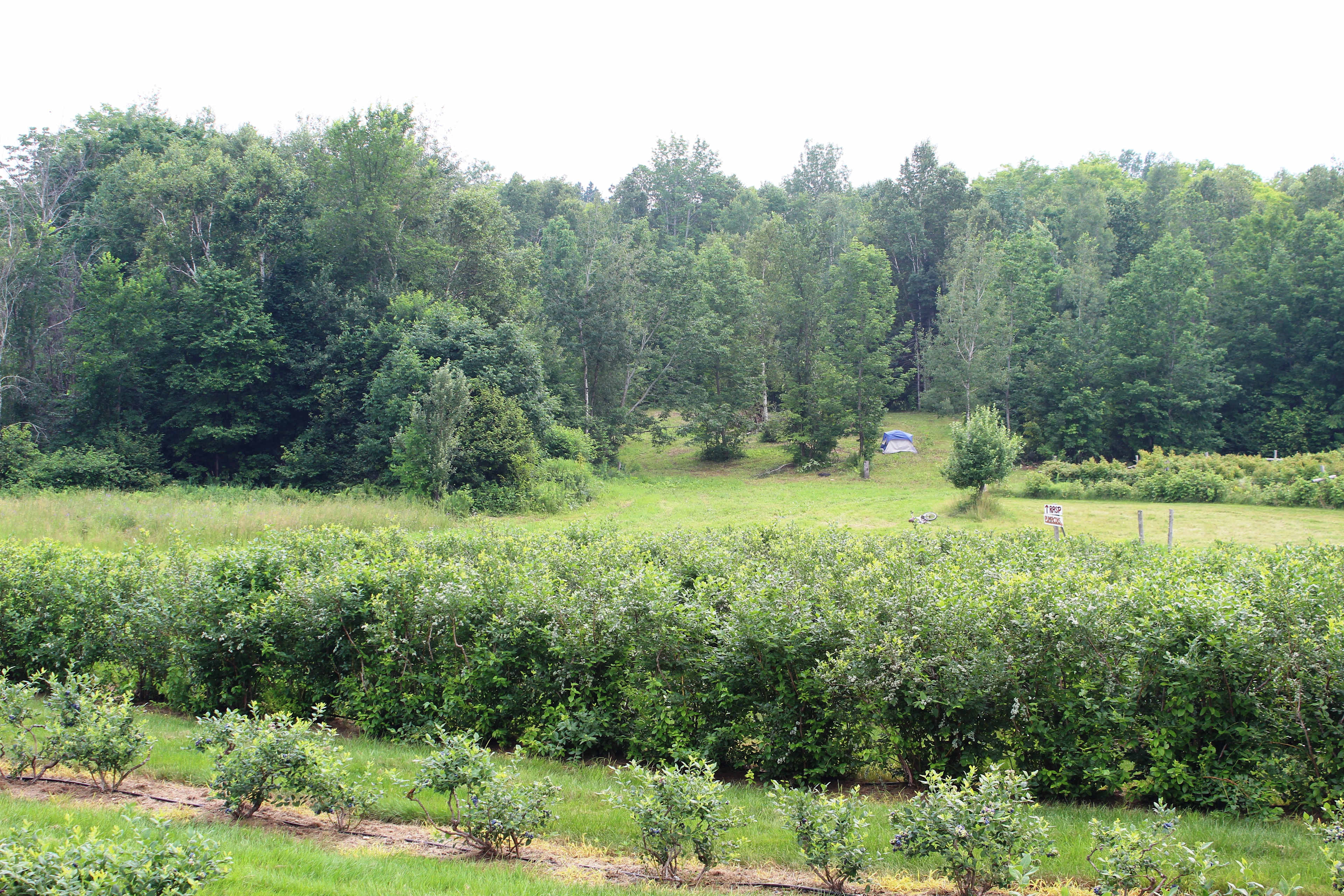 Sunnyside Family Farm Camping