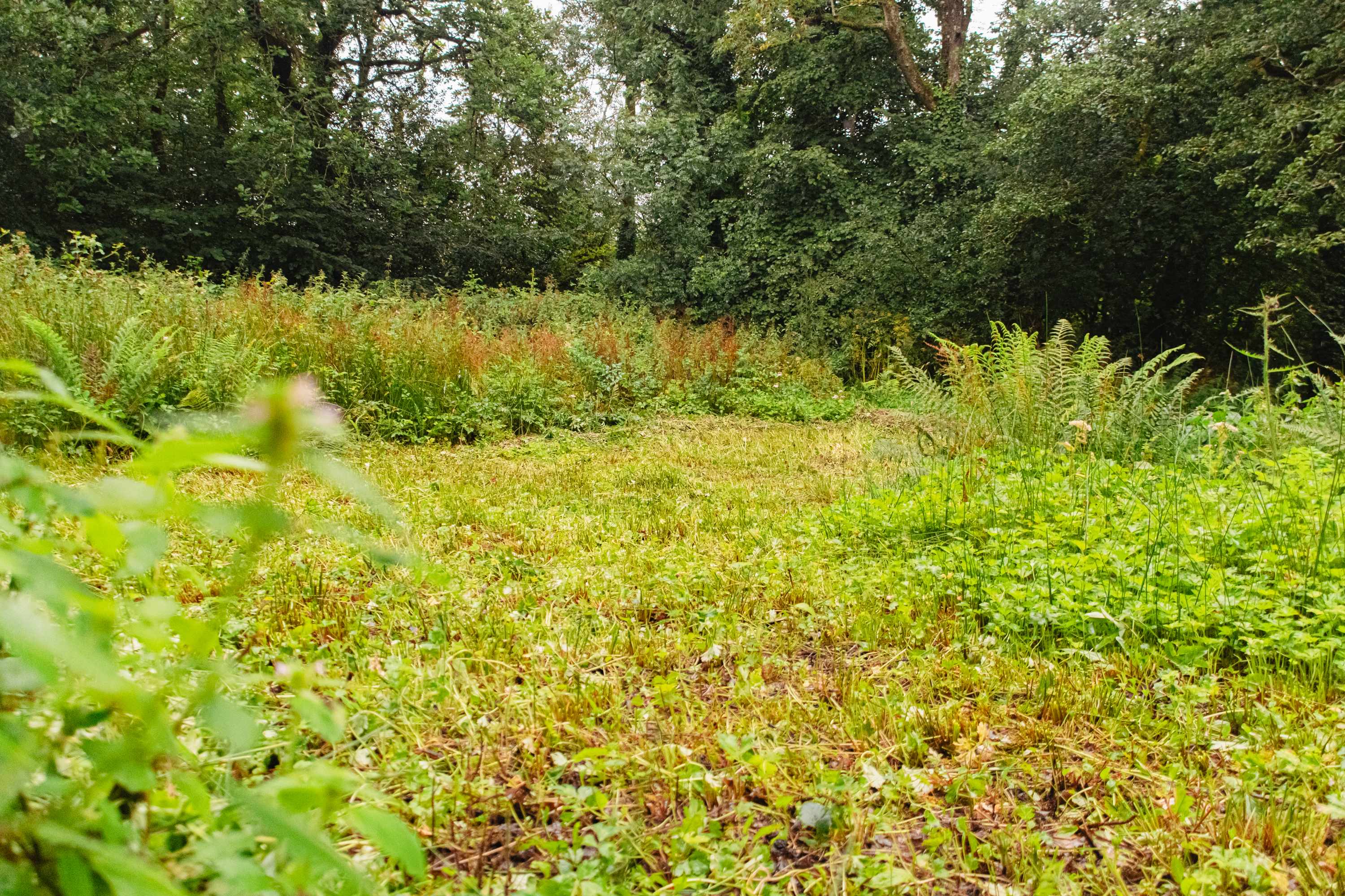 First view of the tent pitch from the footpath