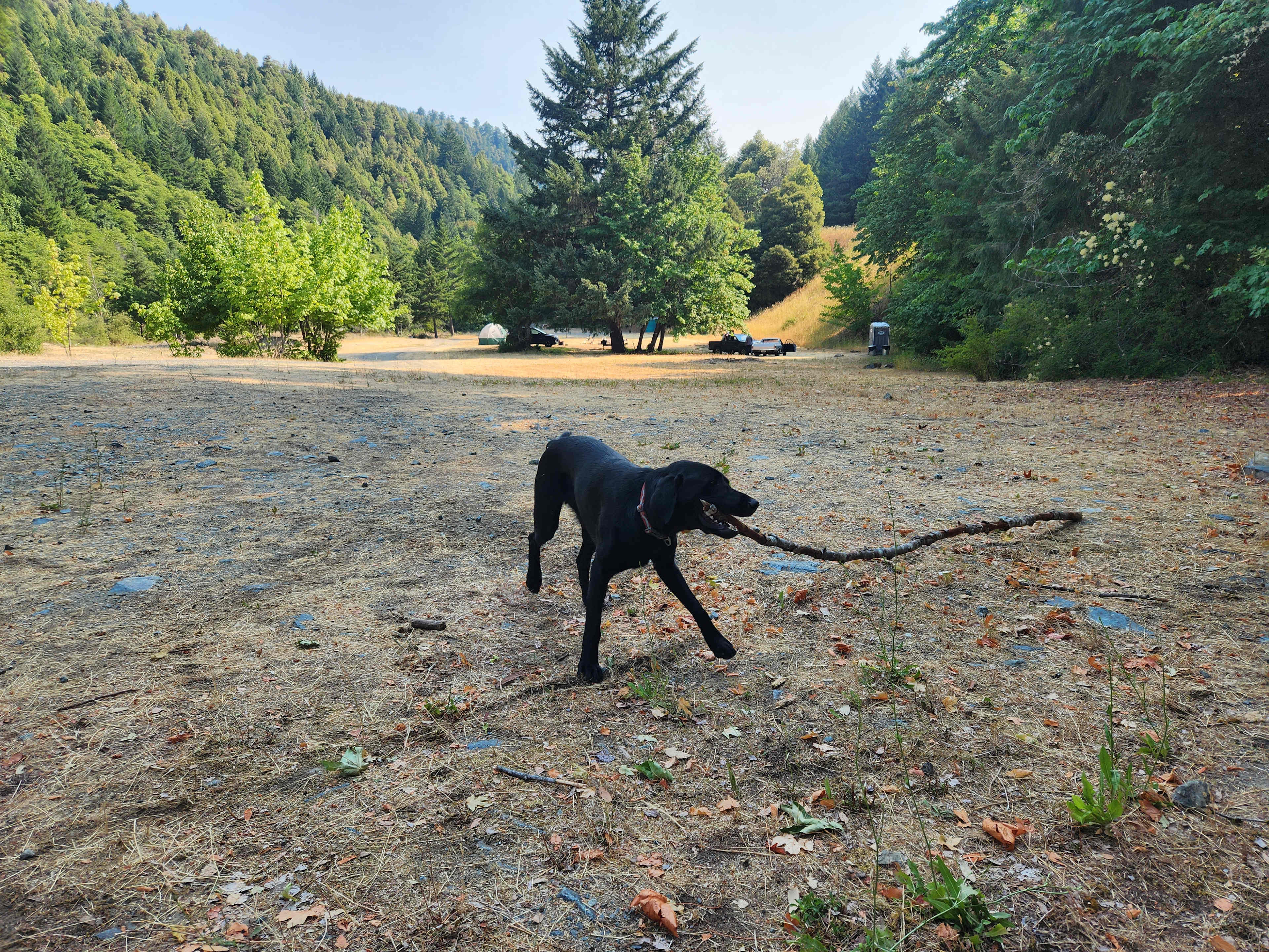 Picture of the site
