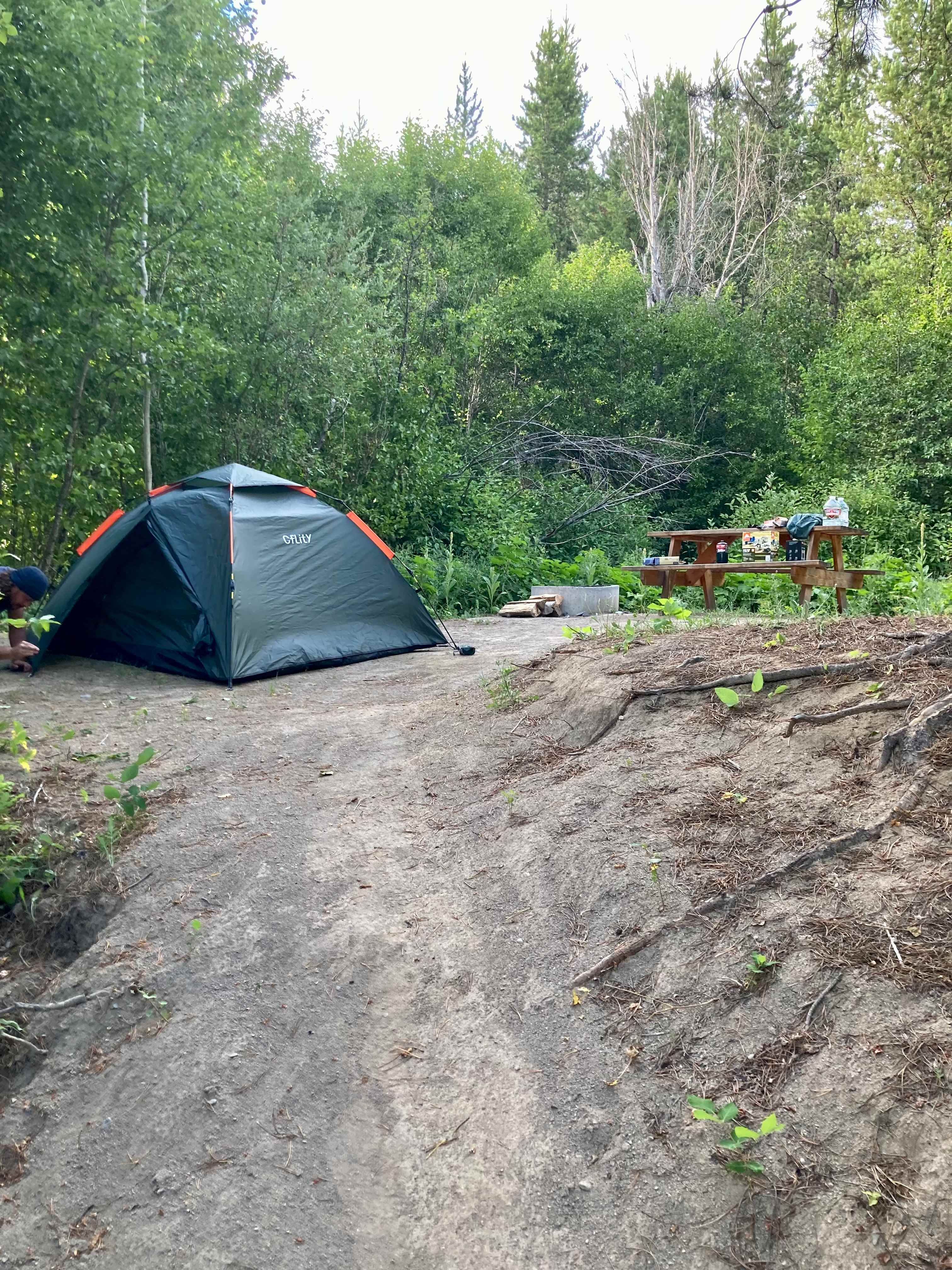 Picture of the site