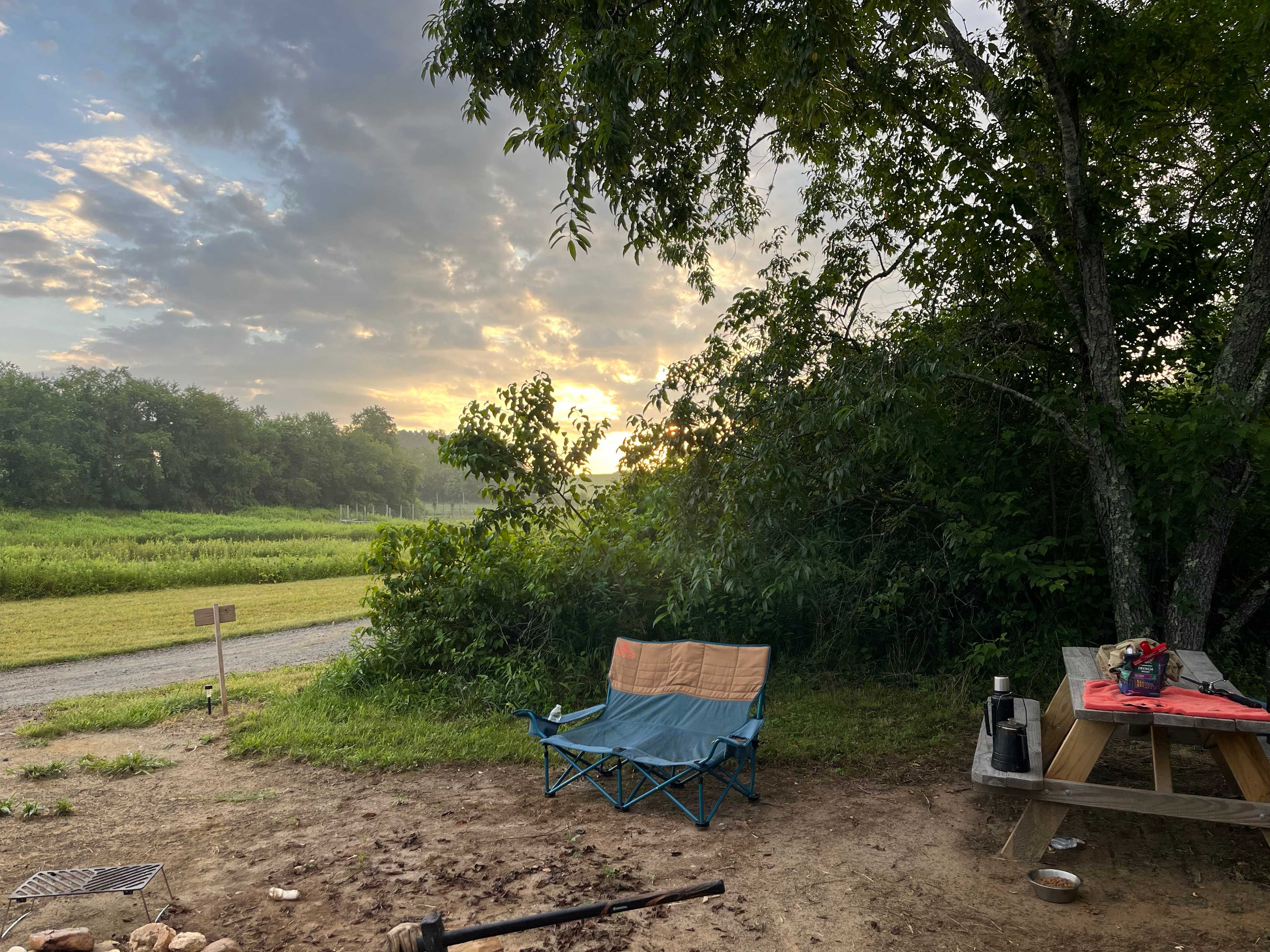 Picture of the site
