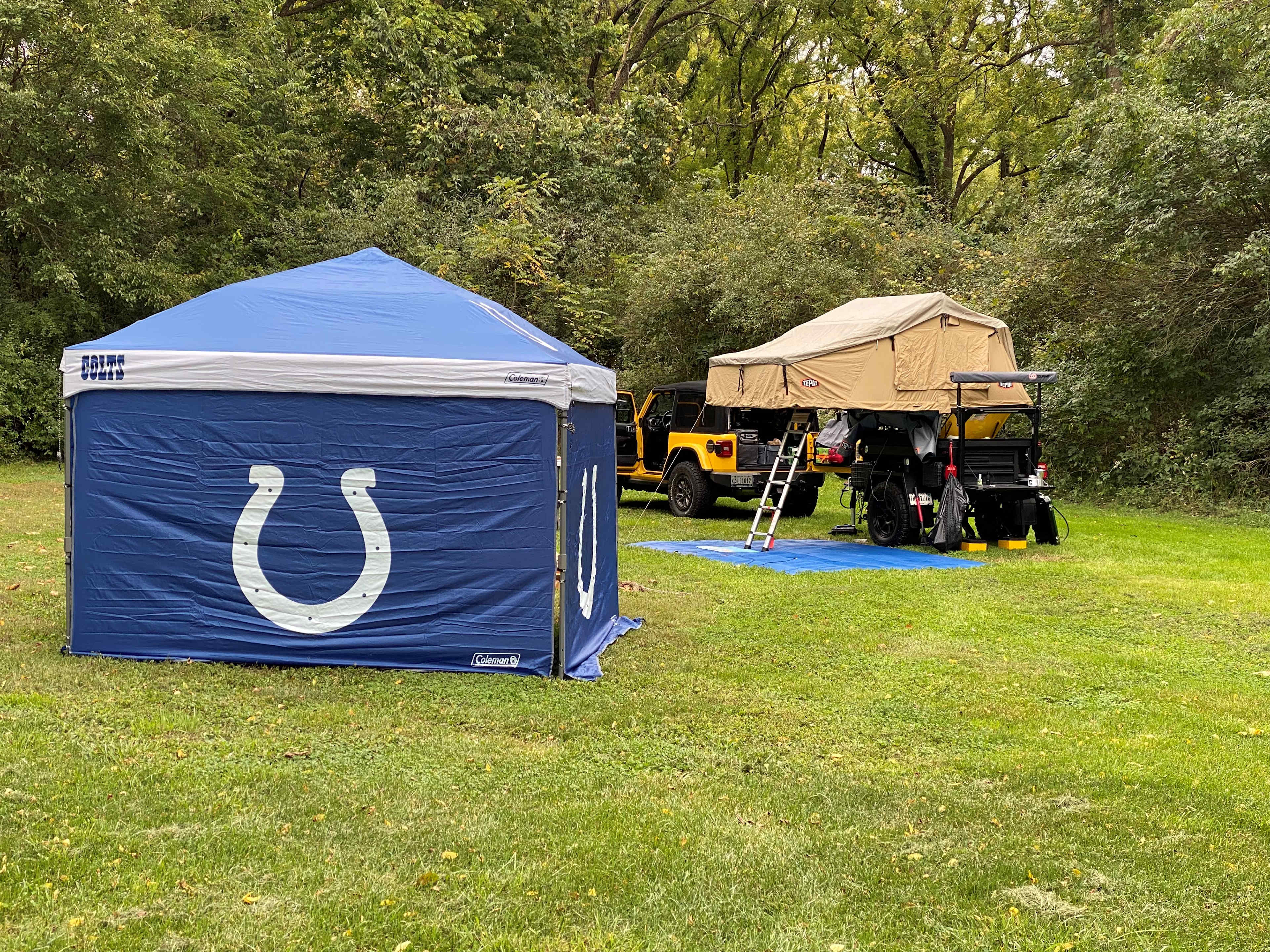 Picture of the site