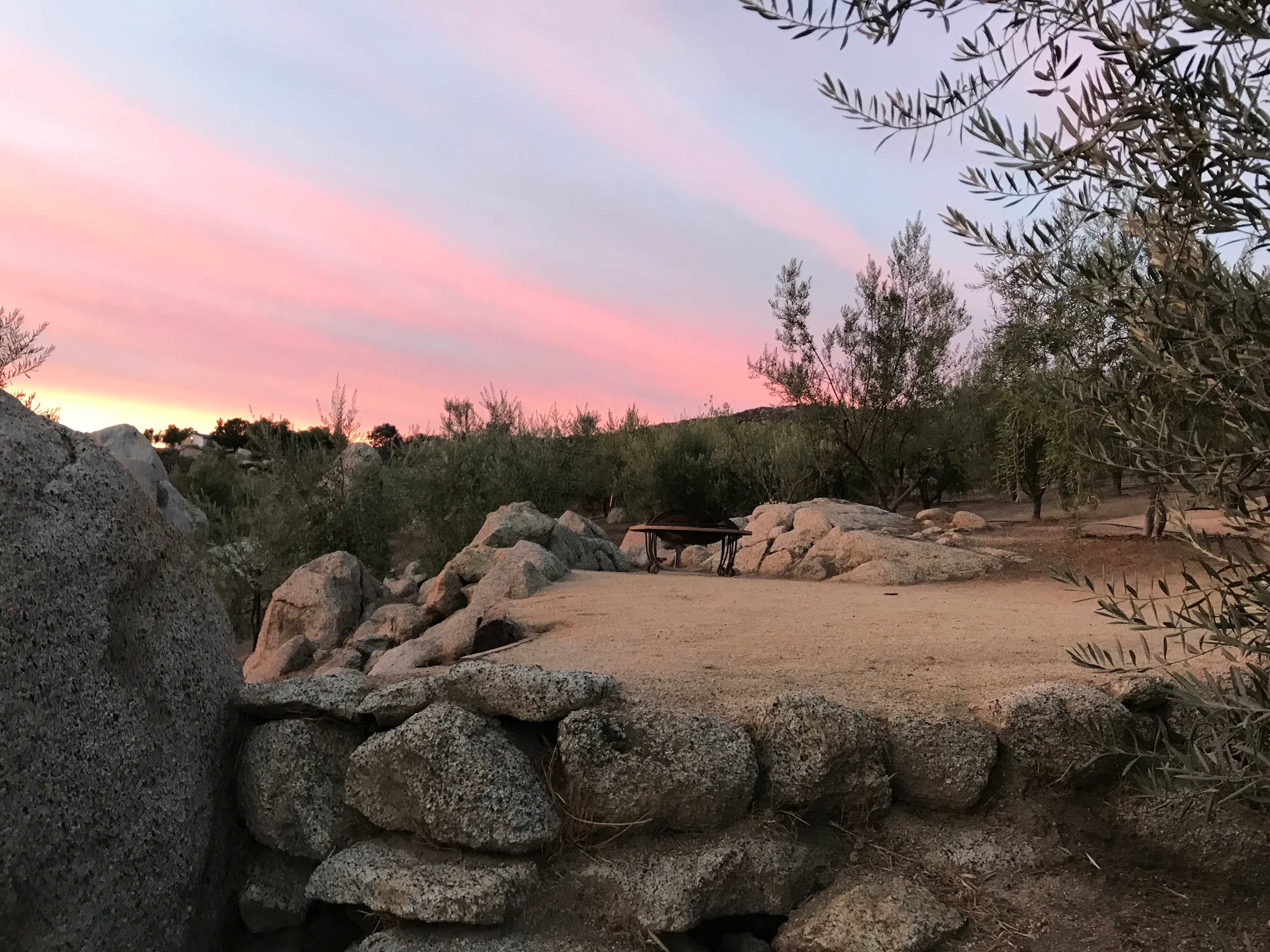 Picture of the site
