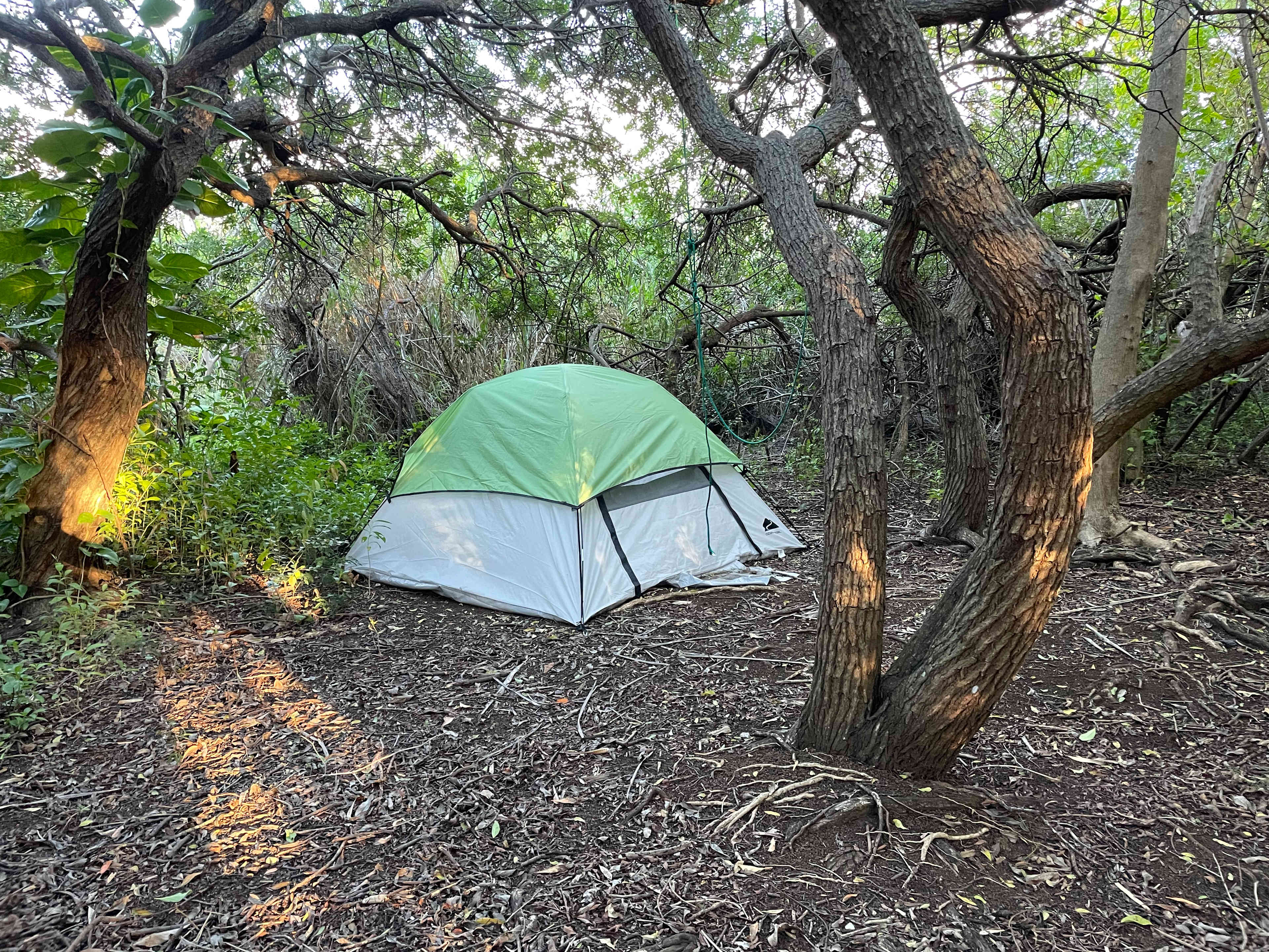 Haiku Farm & Campground