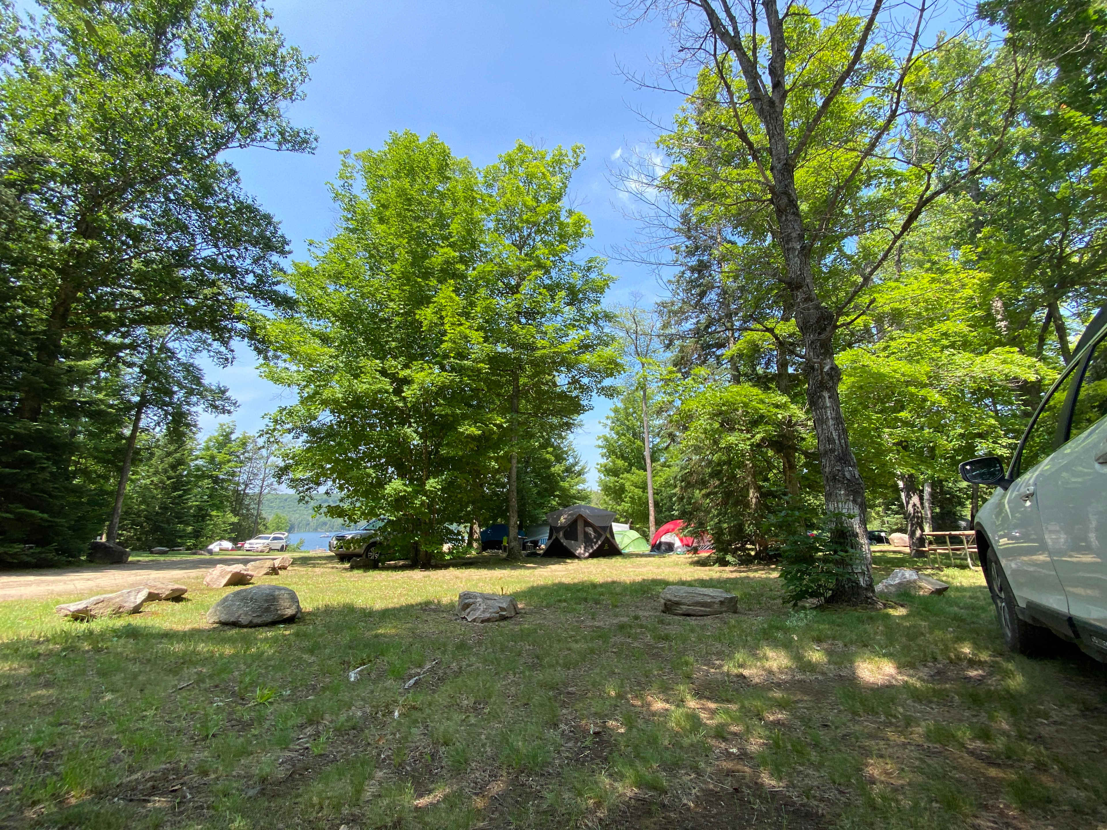 Picture of the site