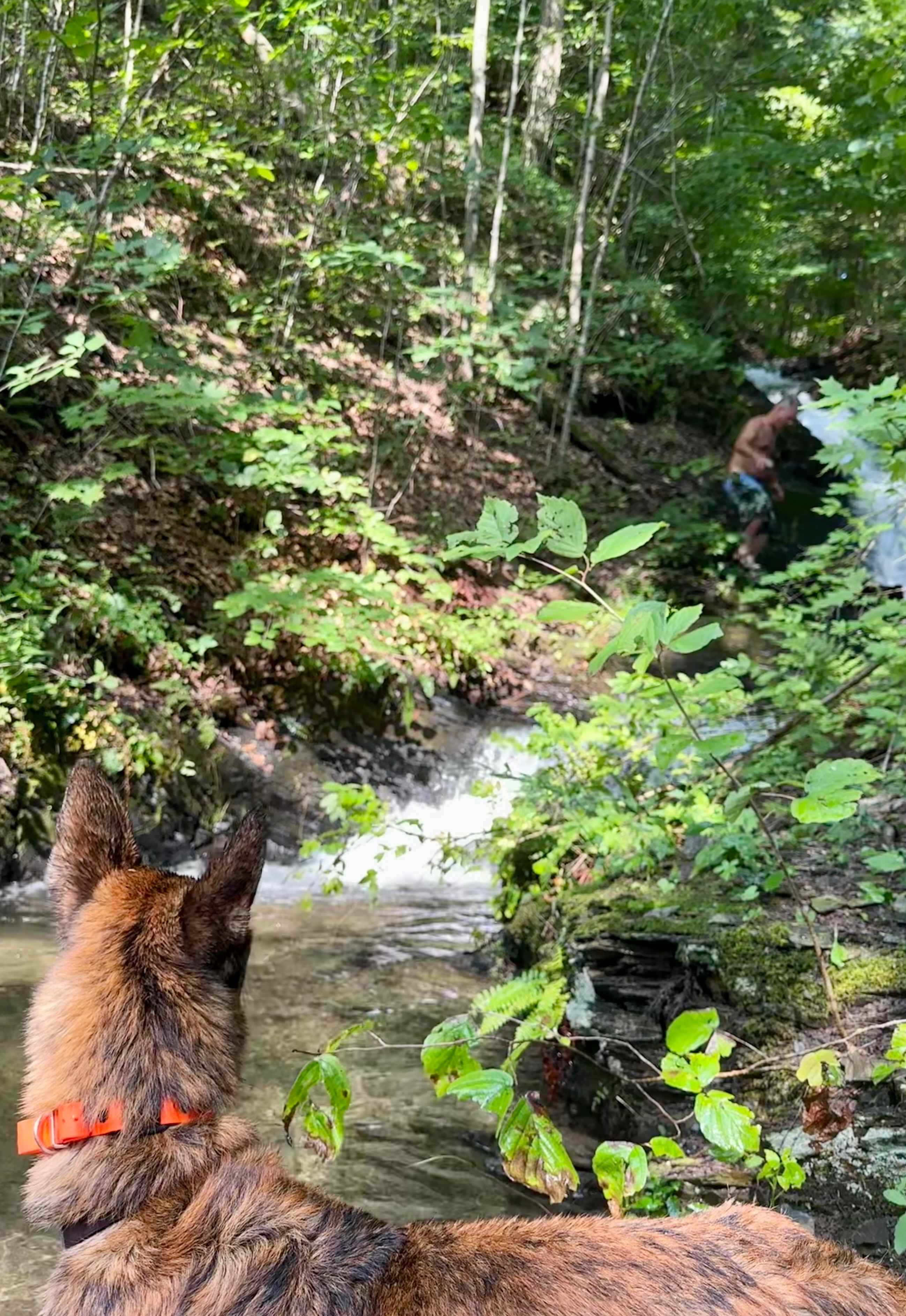 Funnnn at the waterfall.

