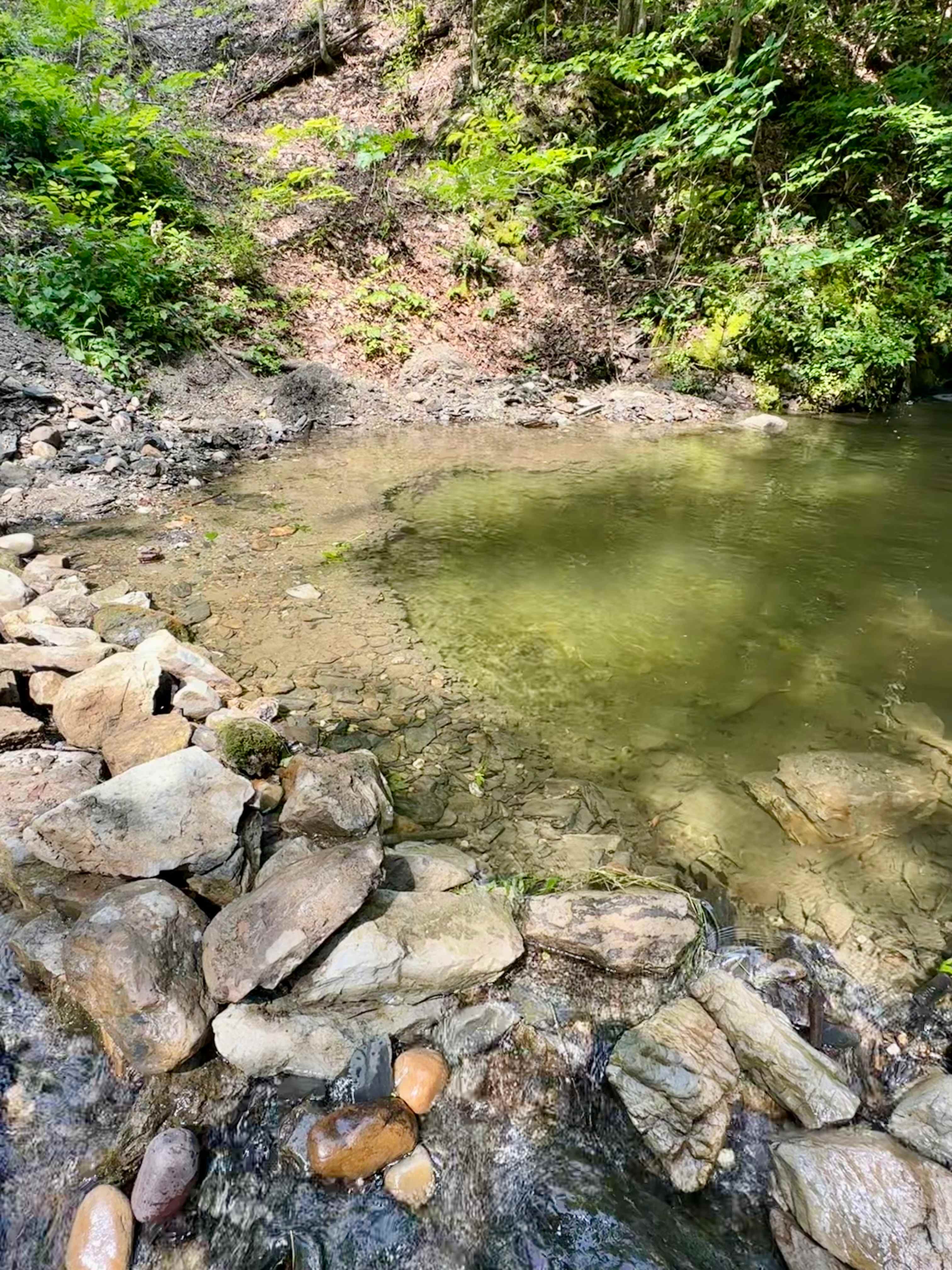 The “Cold Hole,” where you can sit & relax, swim, or even search for fossils!
