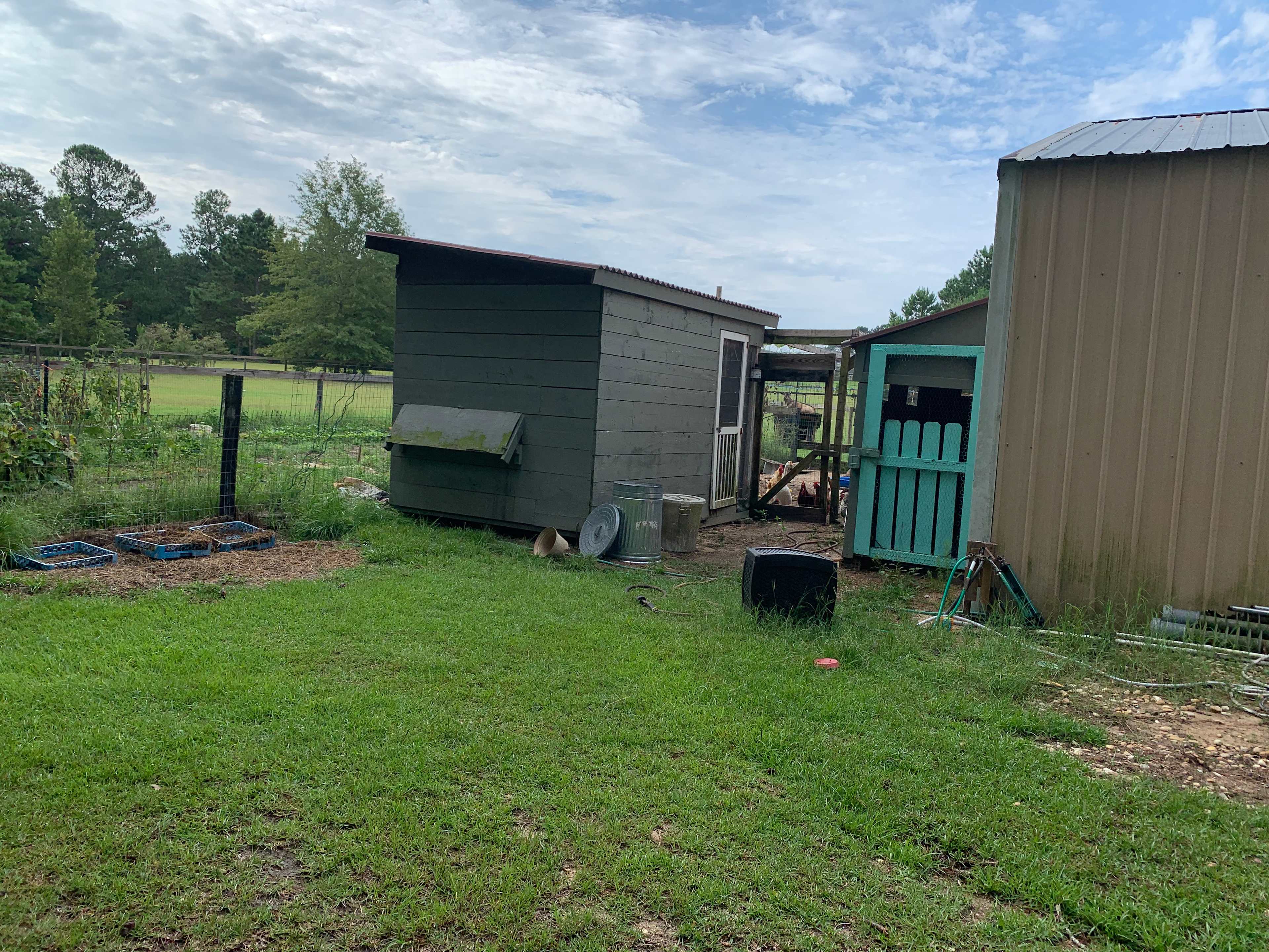 Chickens and a garden 