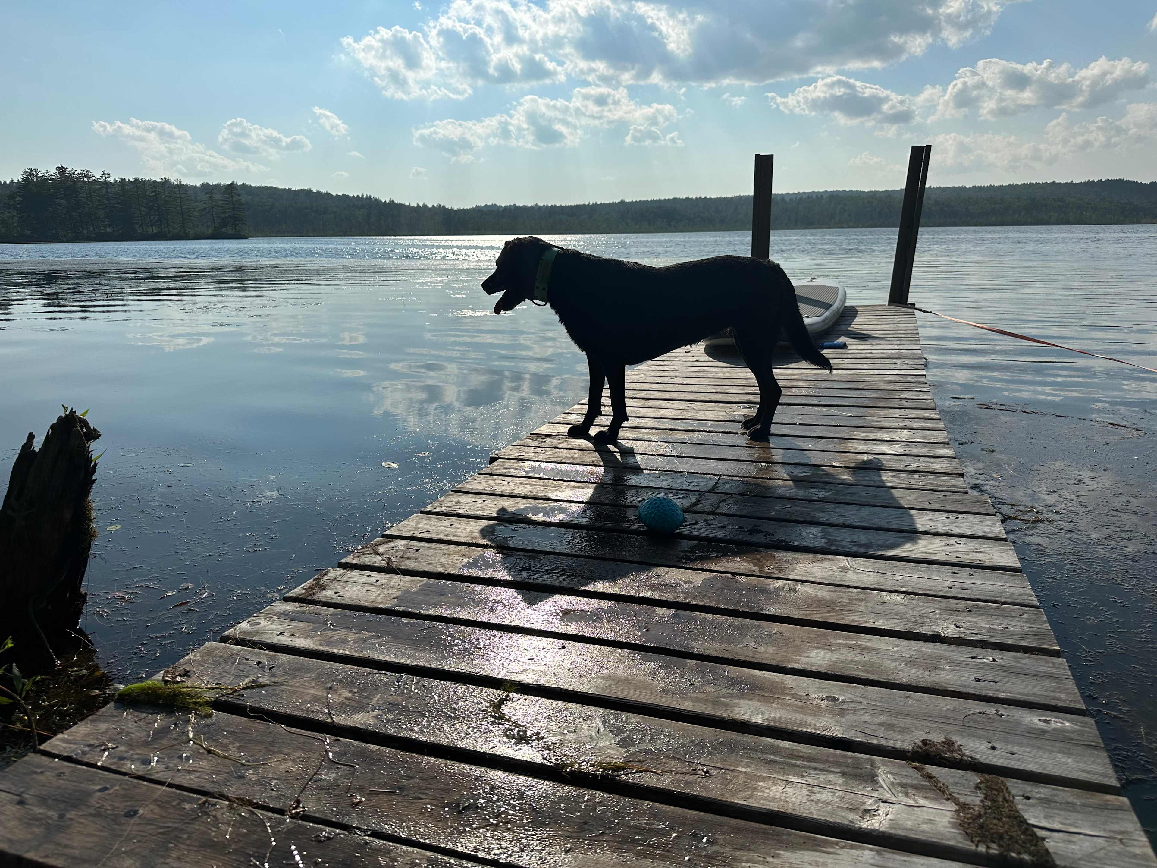 Sip Pond Lakefront Cottage