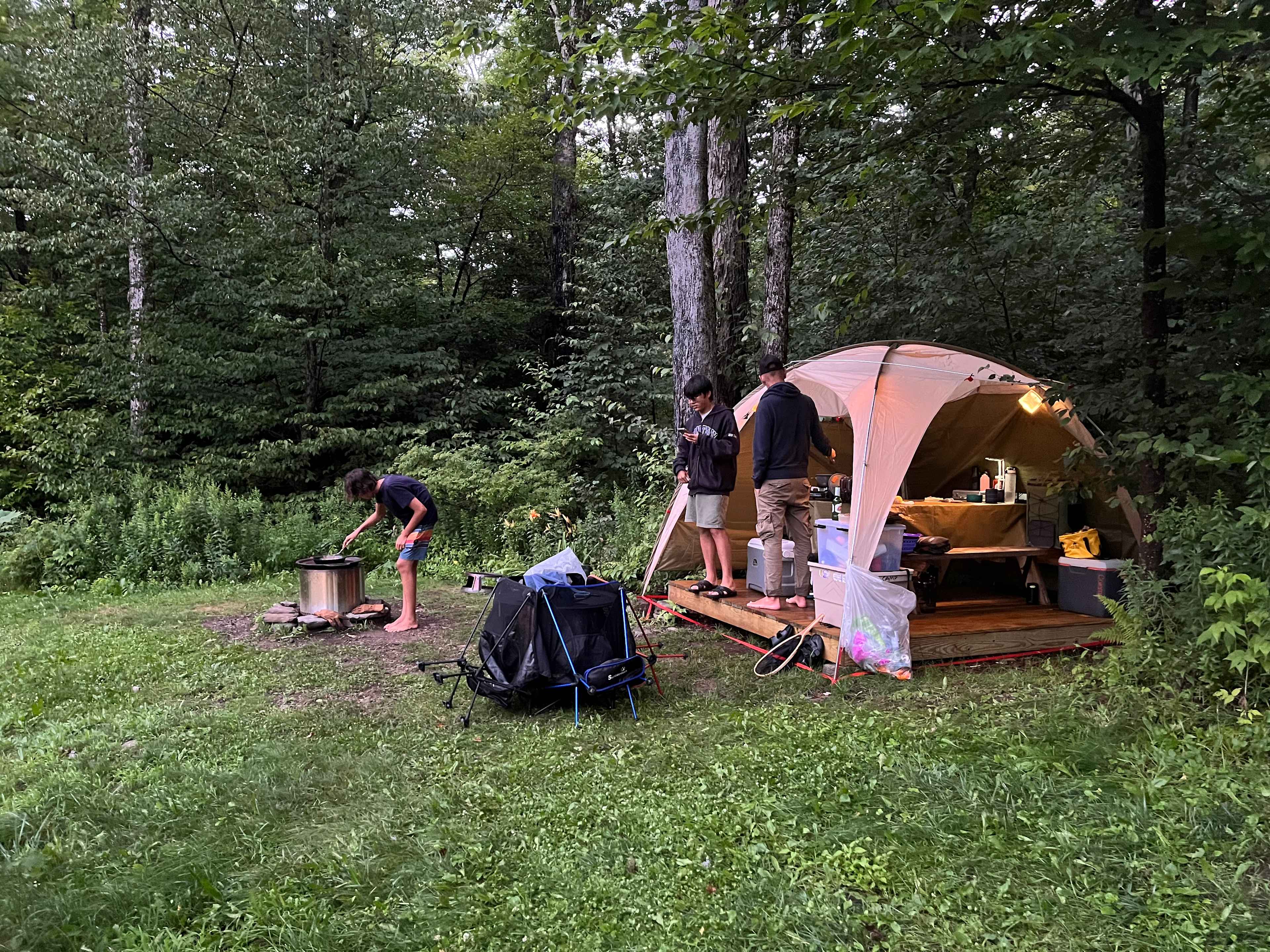 Picture of the site