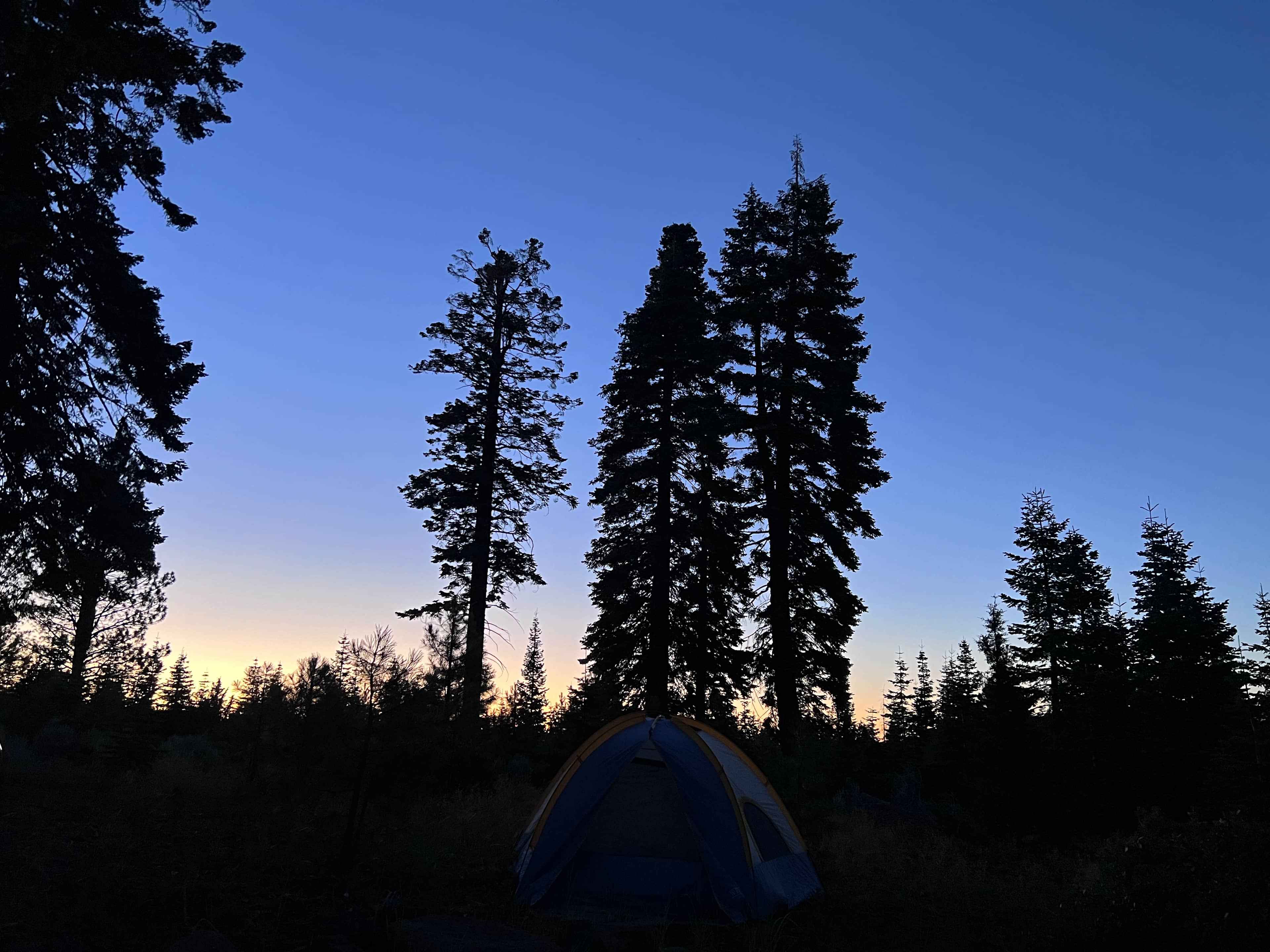 Nicky’s Camp Site