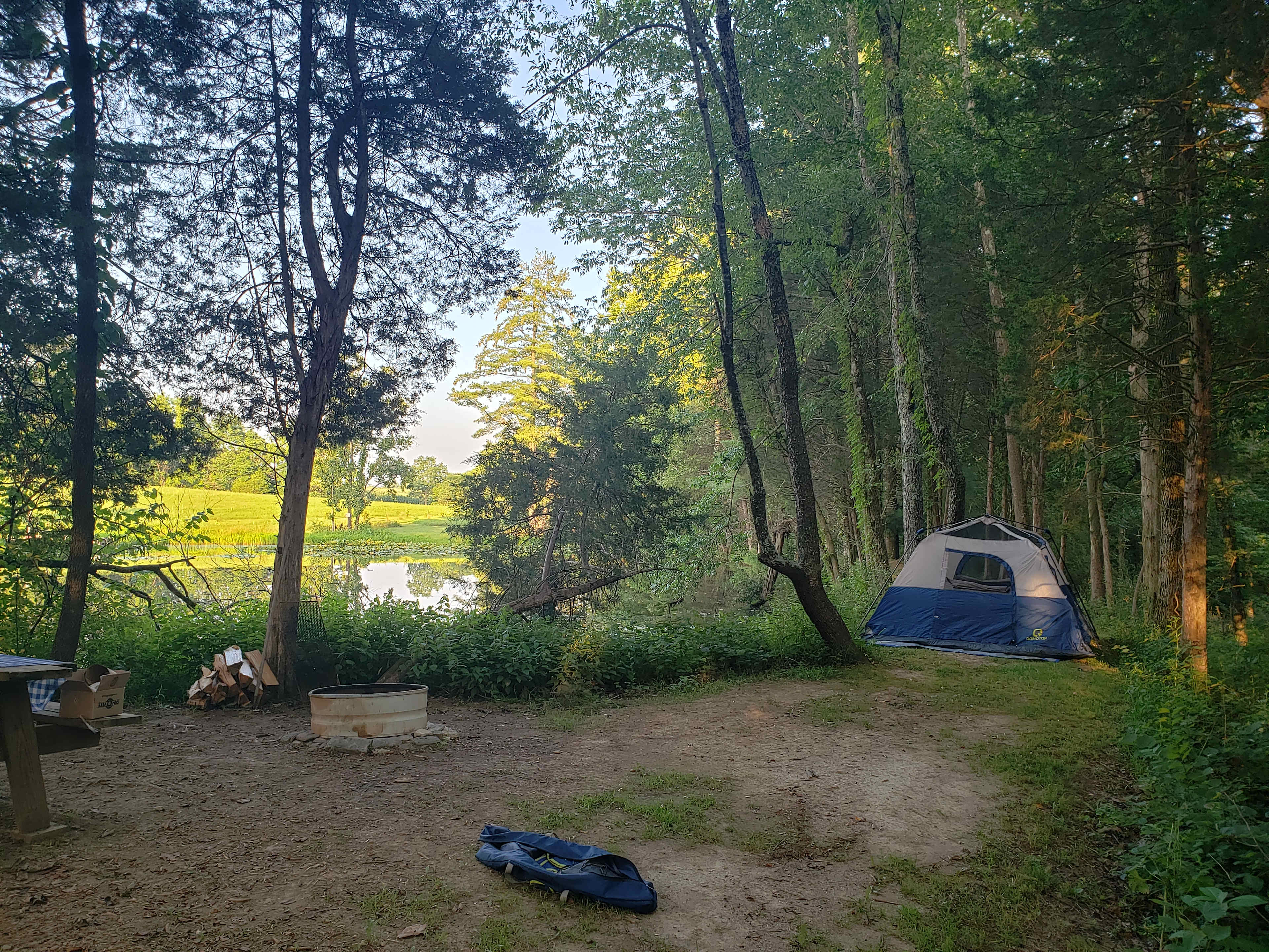 Picture of the site