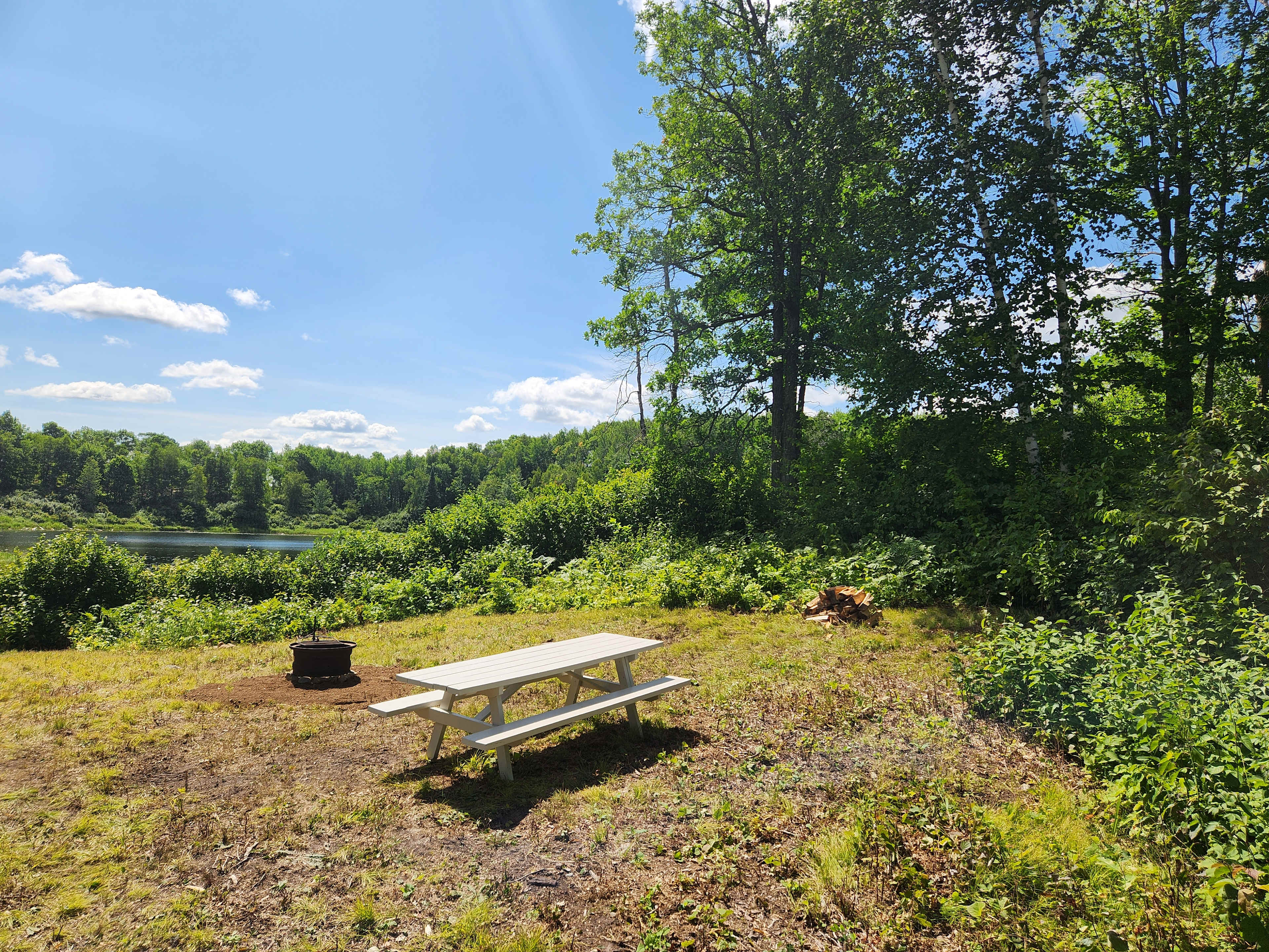 Fire Tower Pond