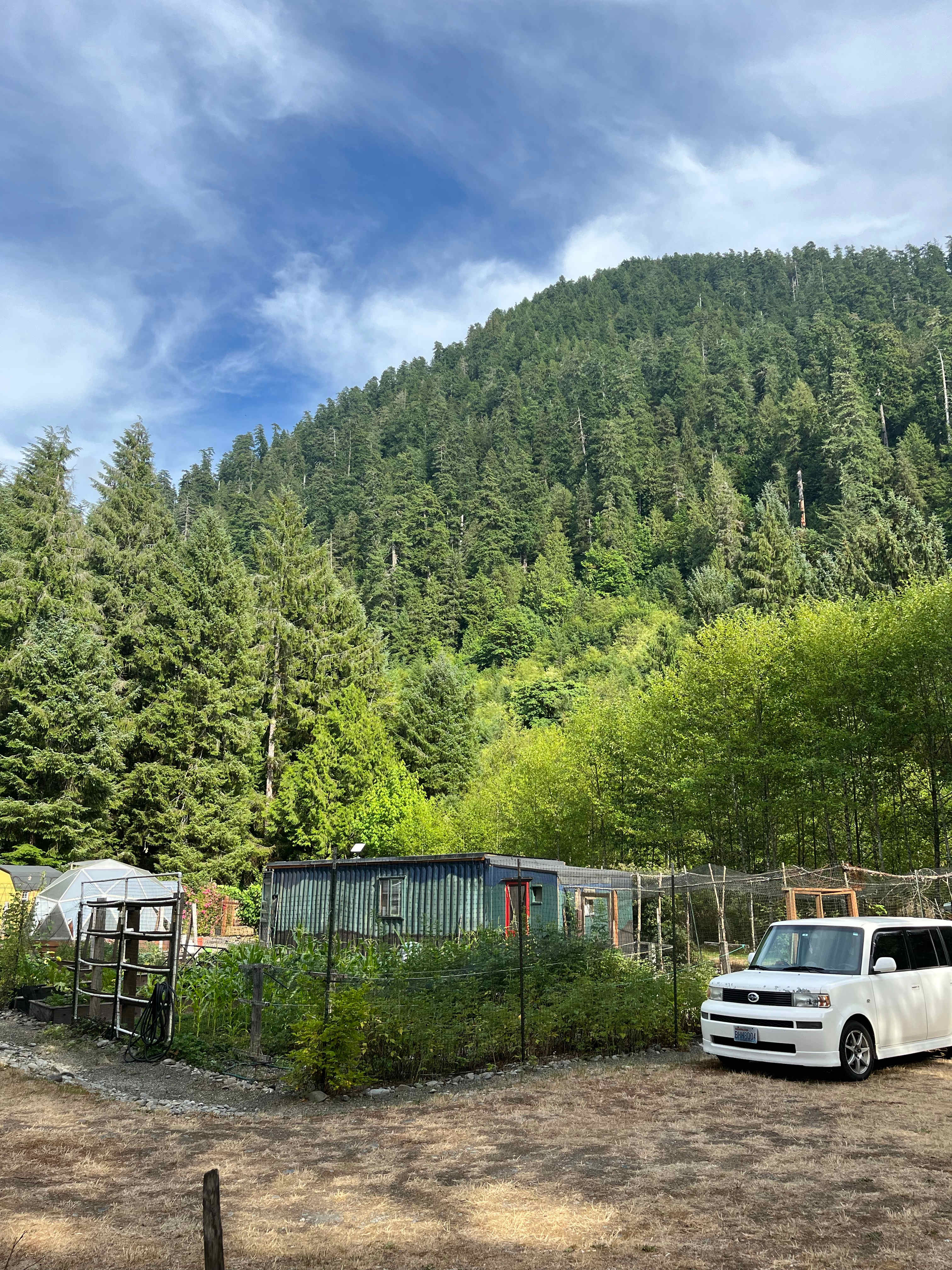 Picture of the site