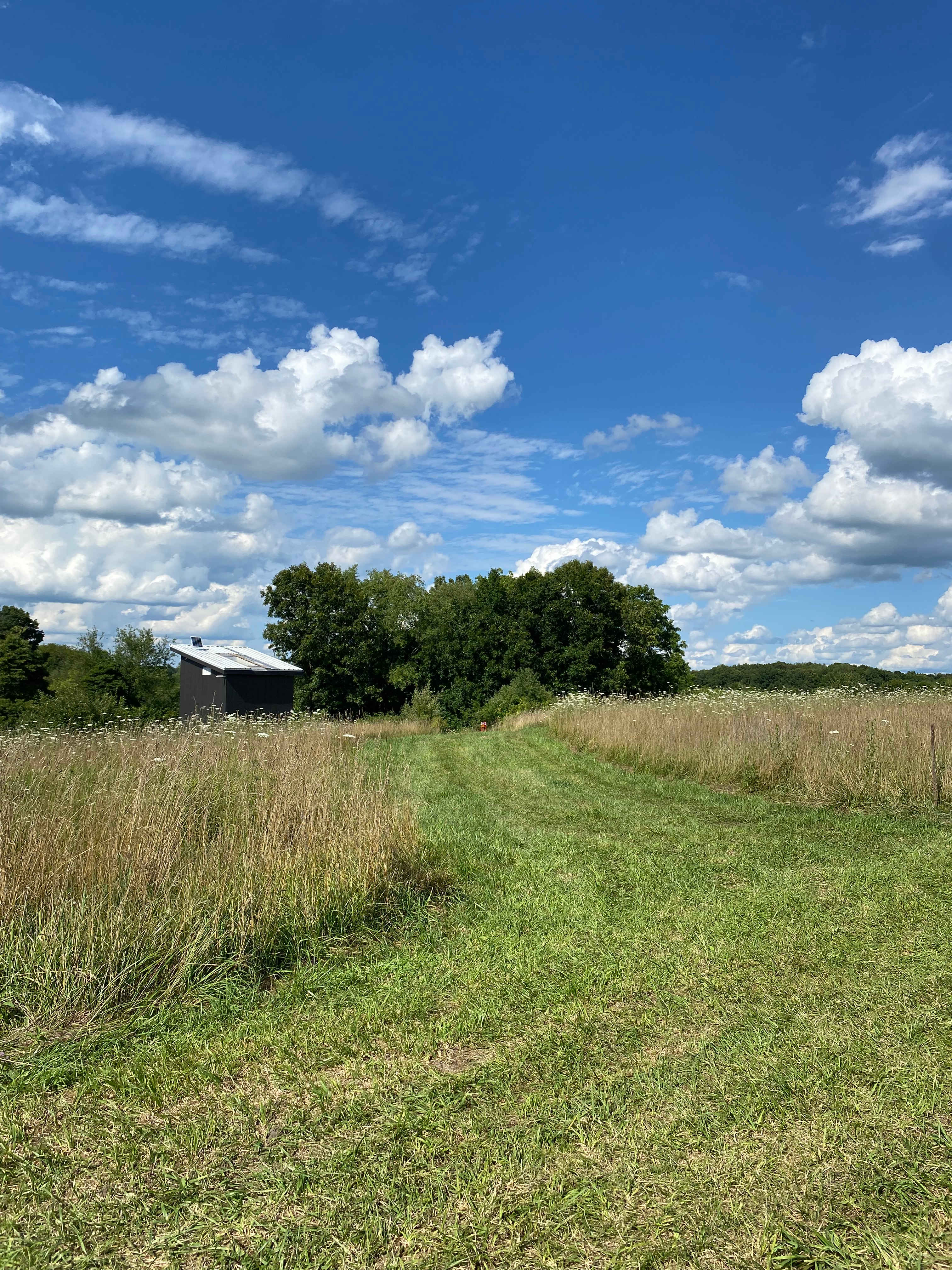 Marshwiggle Farm