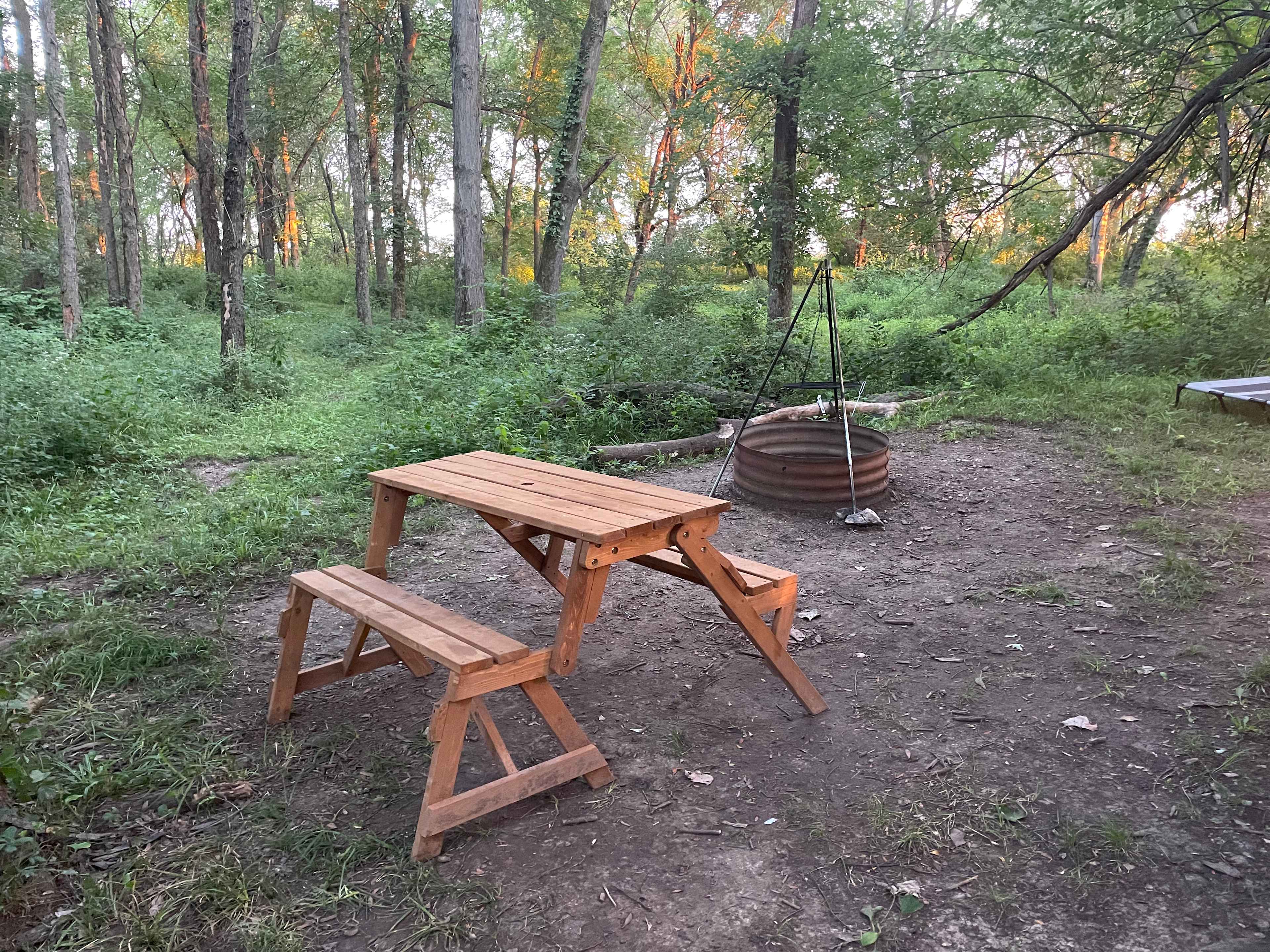 Picture of the site