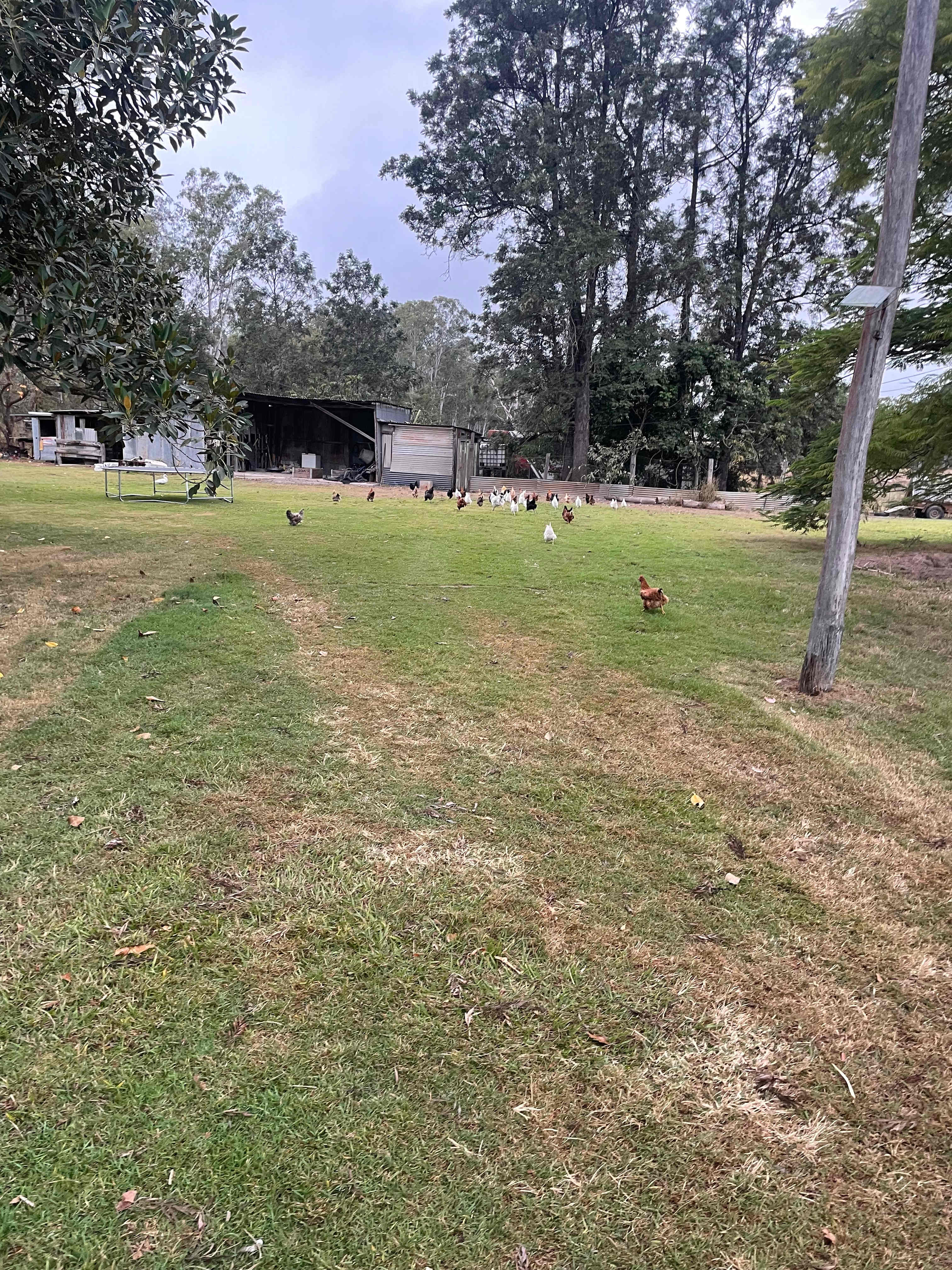 Makowata Farm