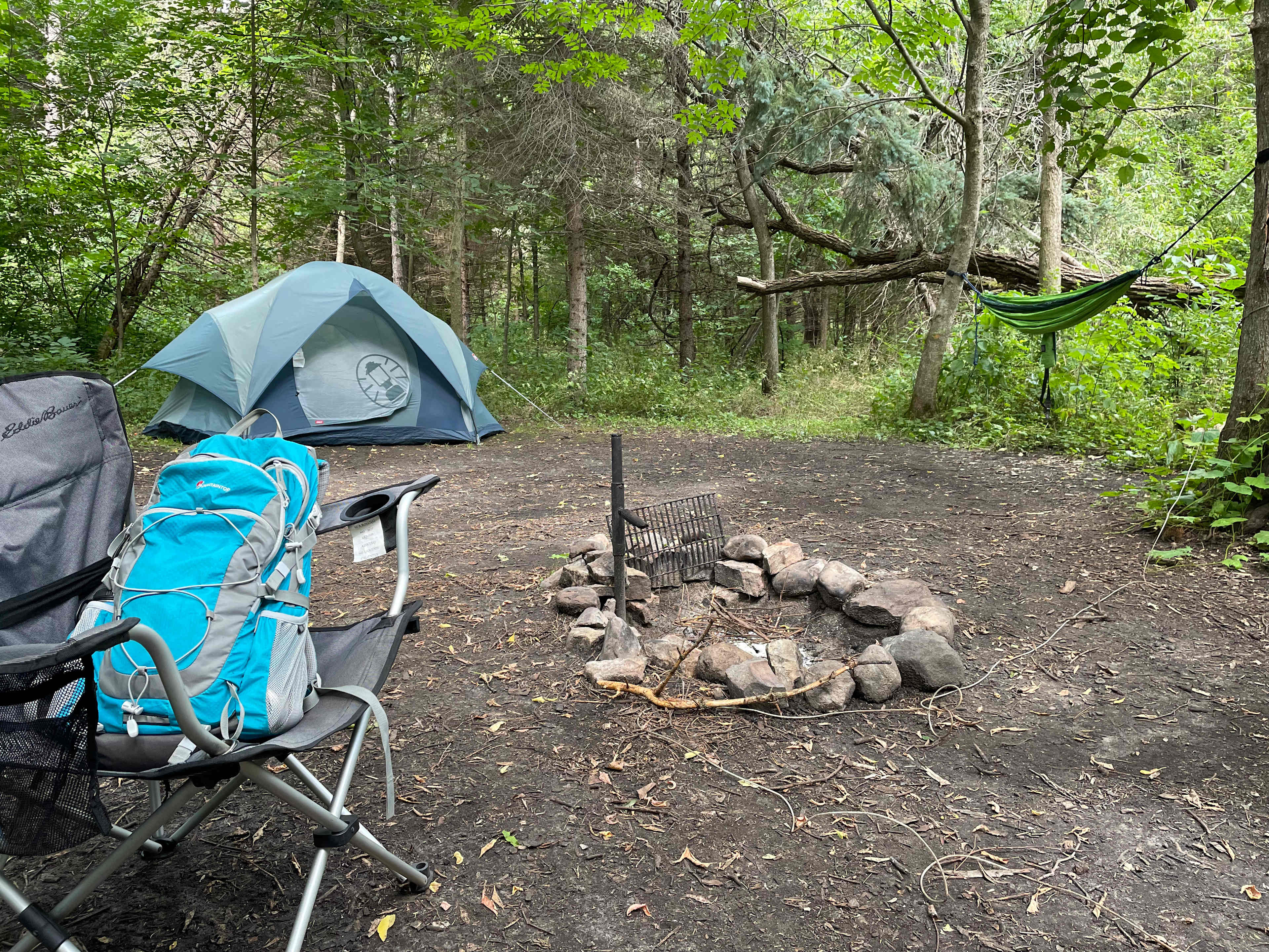 Picture of the site
