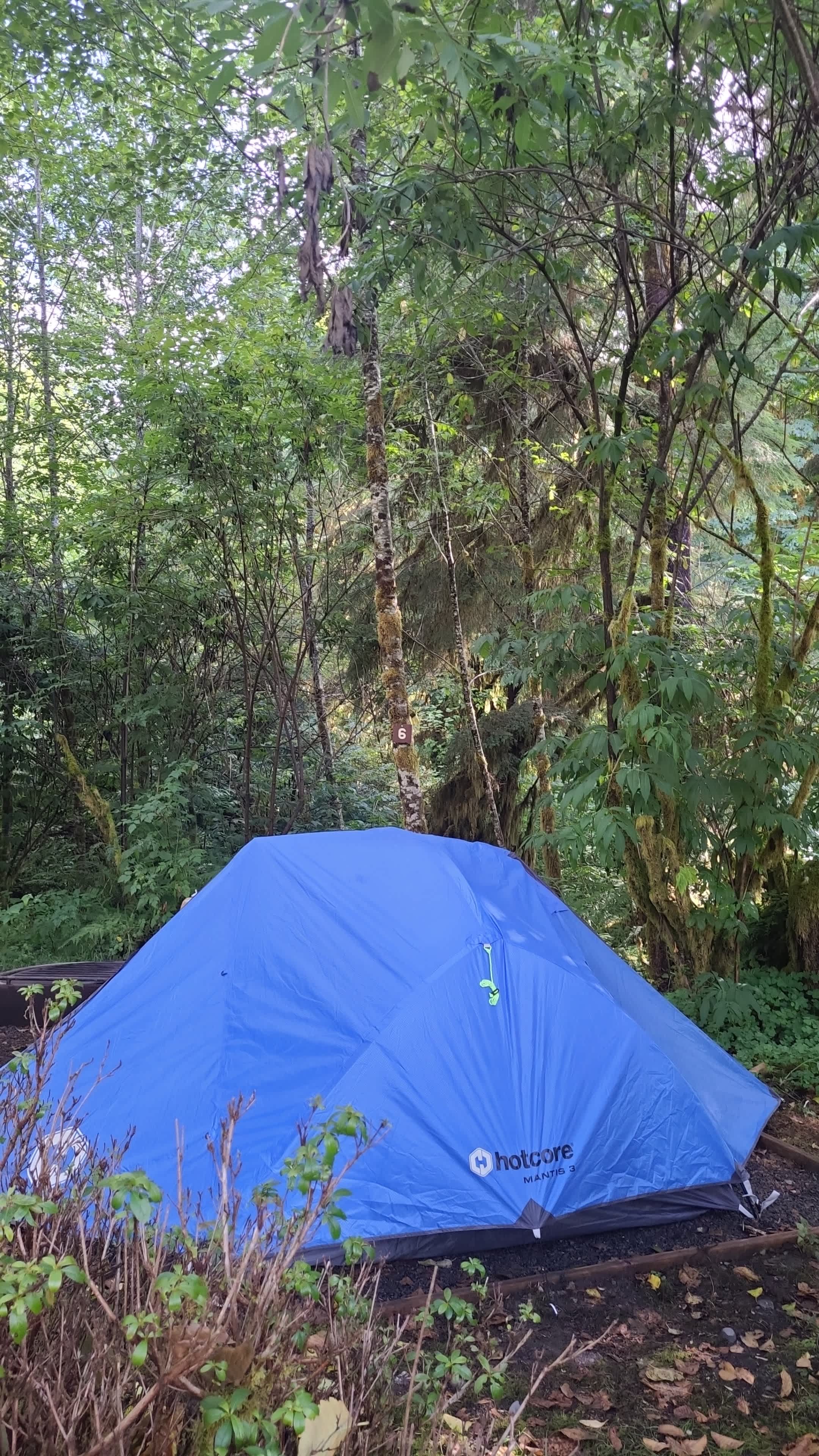 Picture of the site