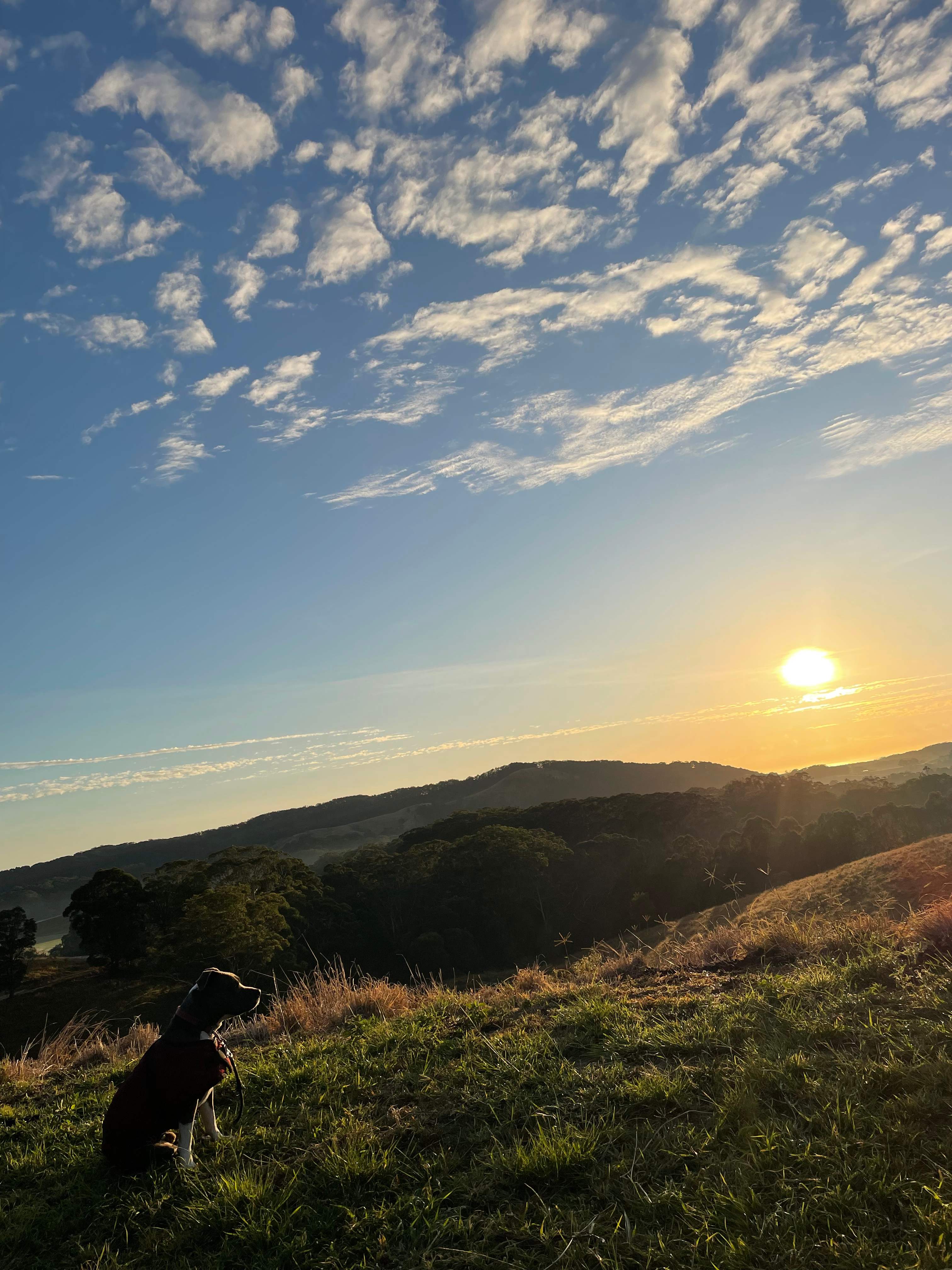 Keltara Camping