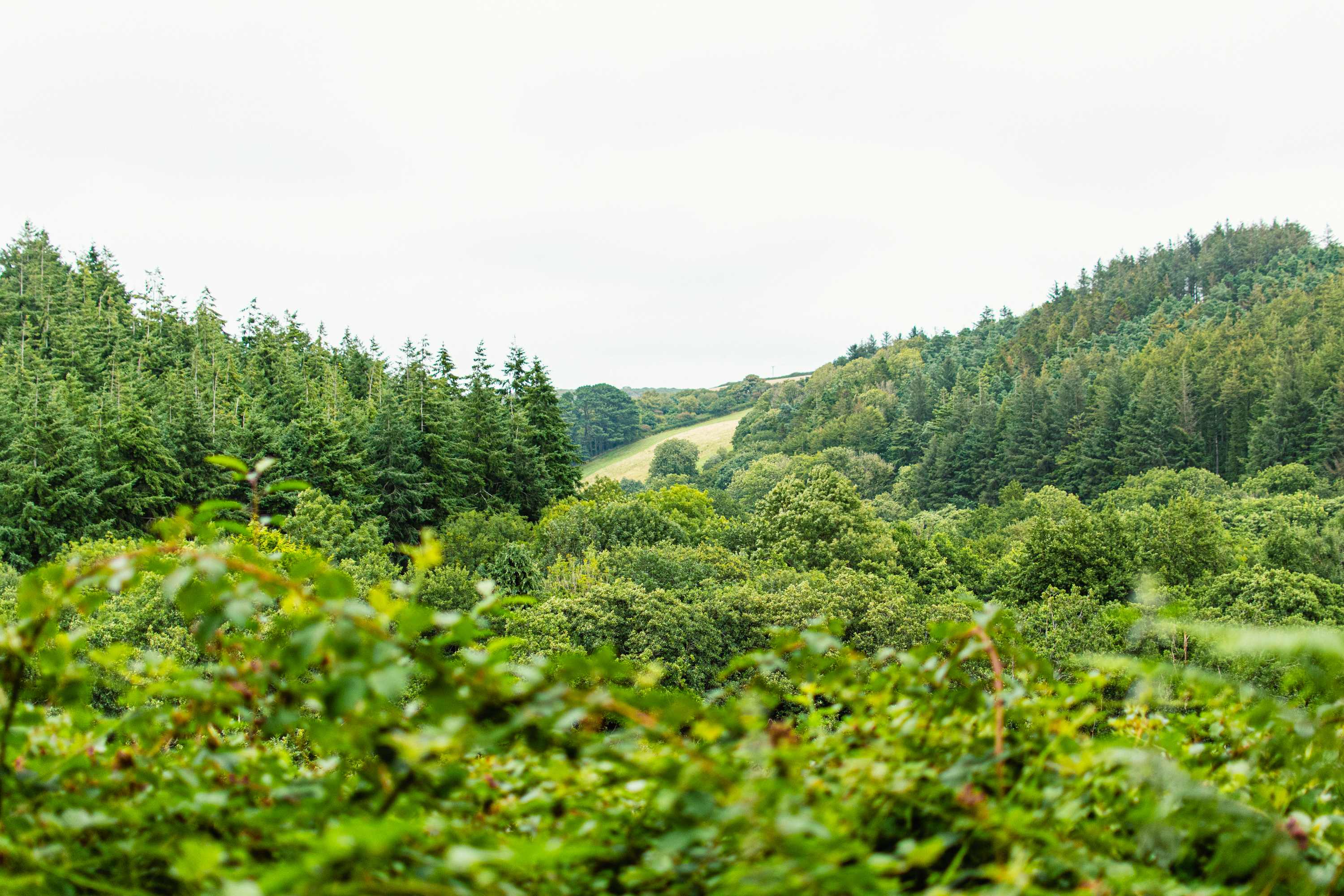 Fantastic views from the top of the hill above camp