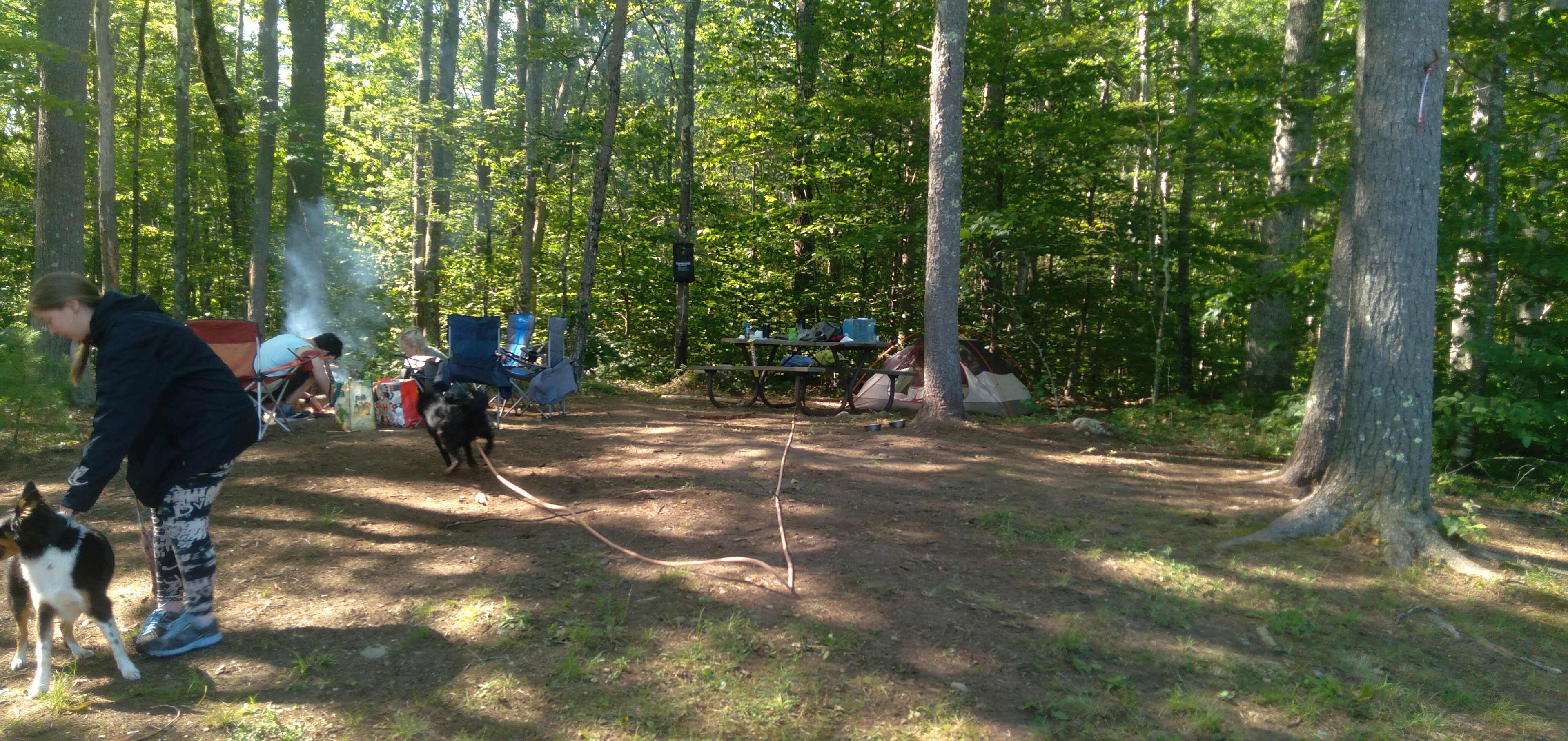 Picture of the site