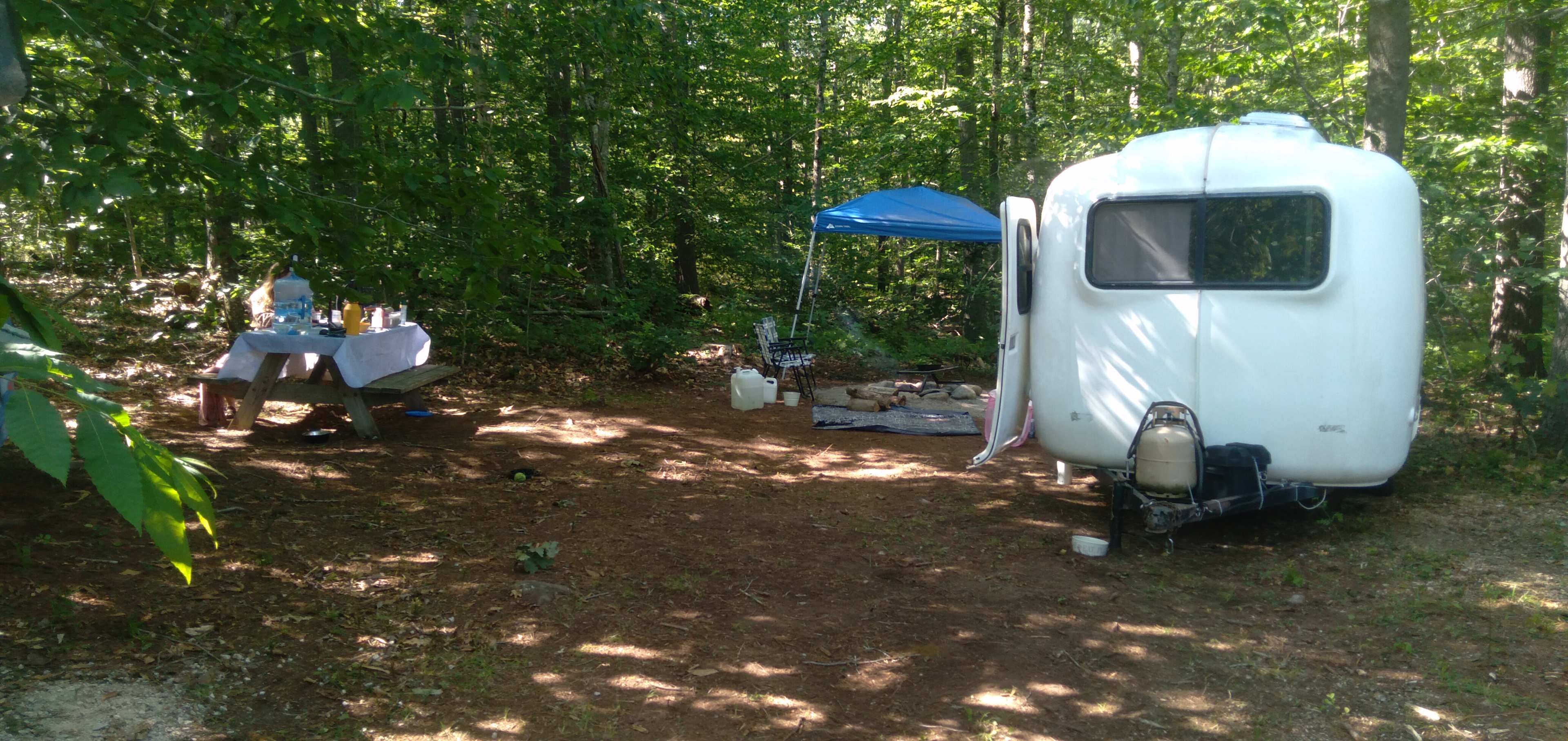 Picture of the site
