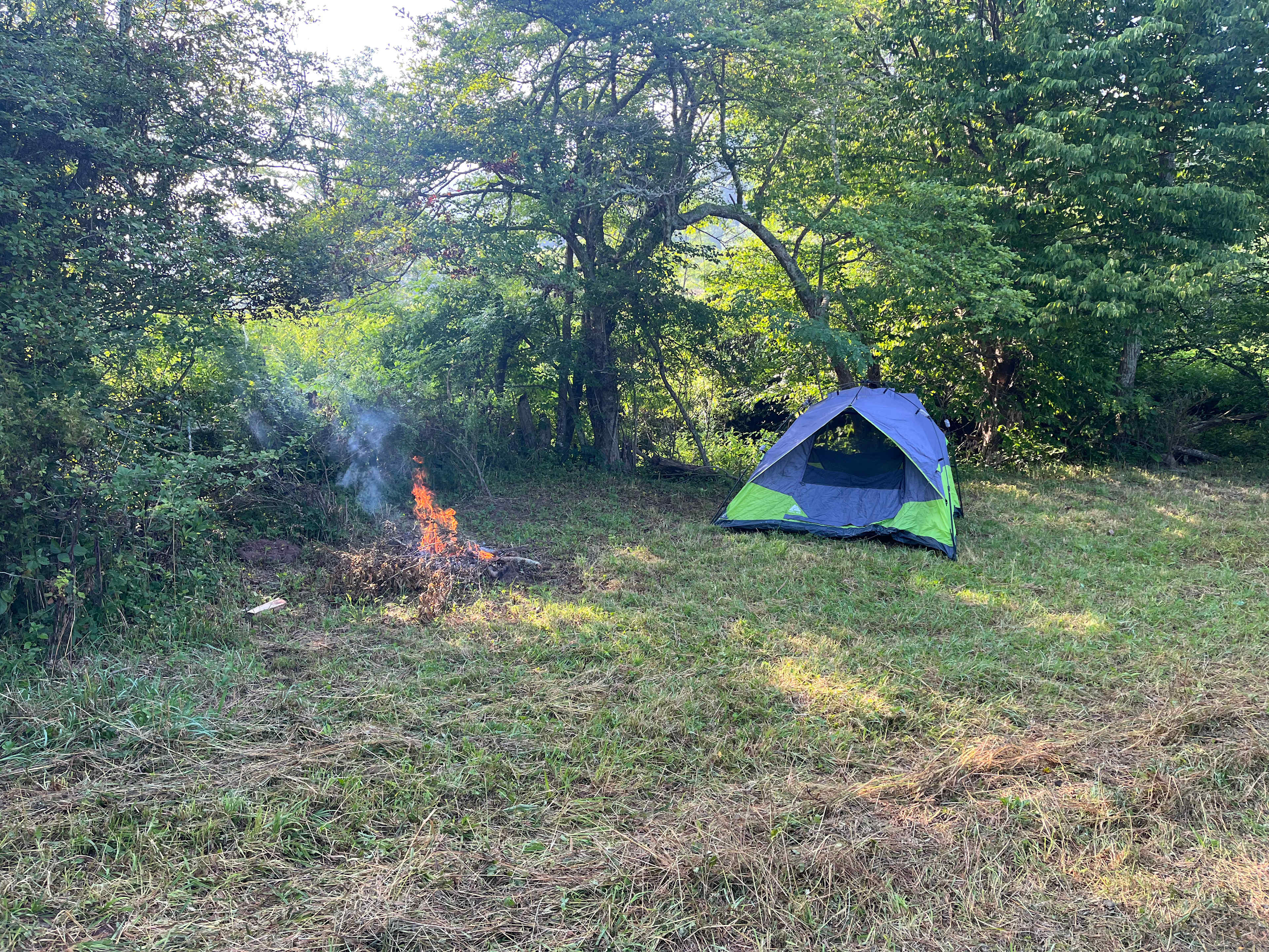 Picture of the site
